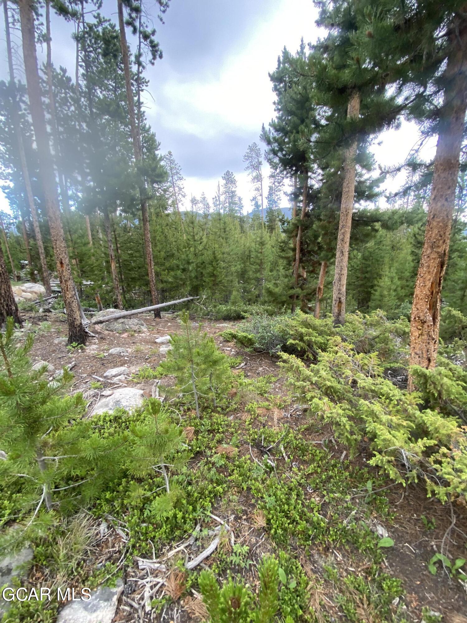 54 GCR 4658 Grand Lake CO 80447