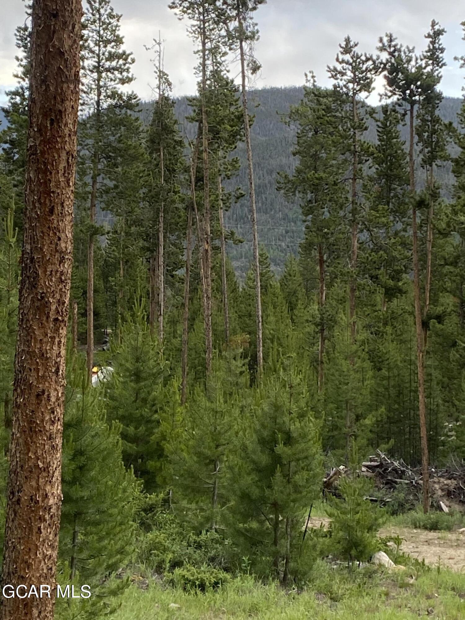 54 GCR 4658 Grand Lake CO 80447