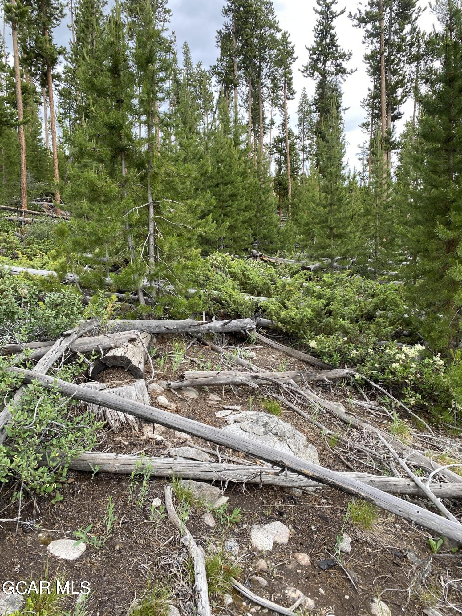 54 GCR 4658 Grand Lake CO 80447