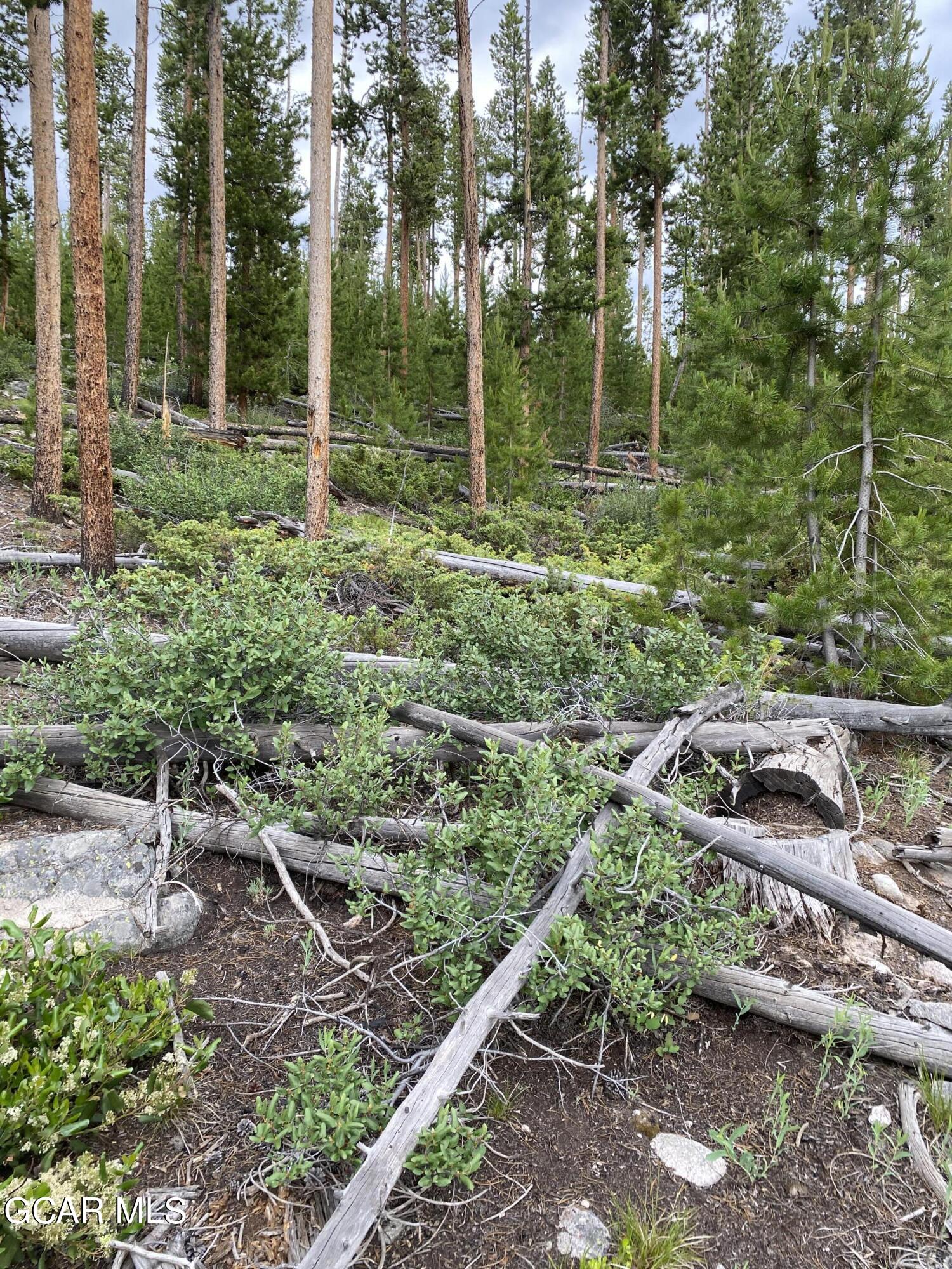 54 GCR 4658 Grand Lake CO 80447