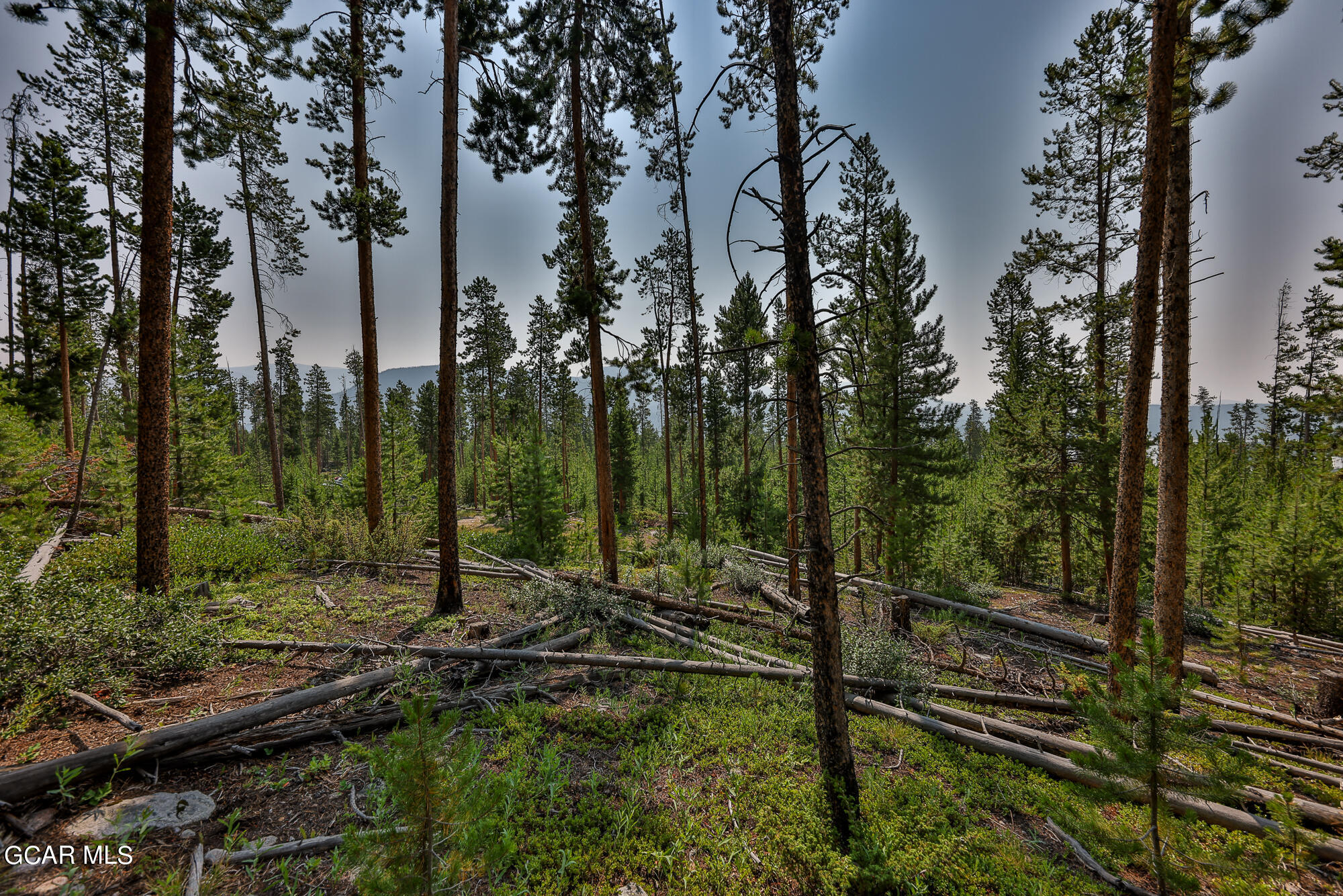 54 GCR 4658 Grand Lake CO 80447