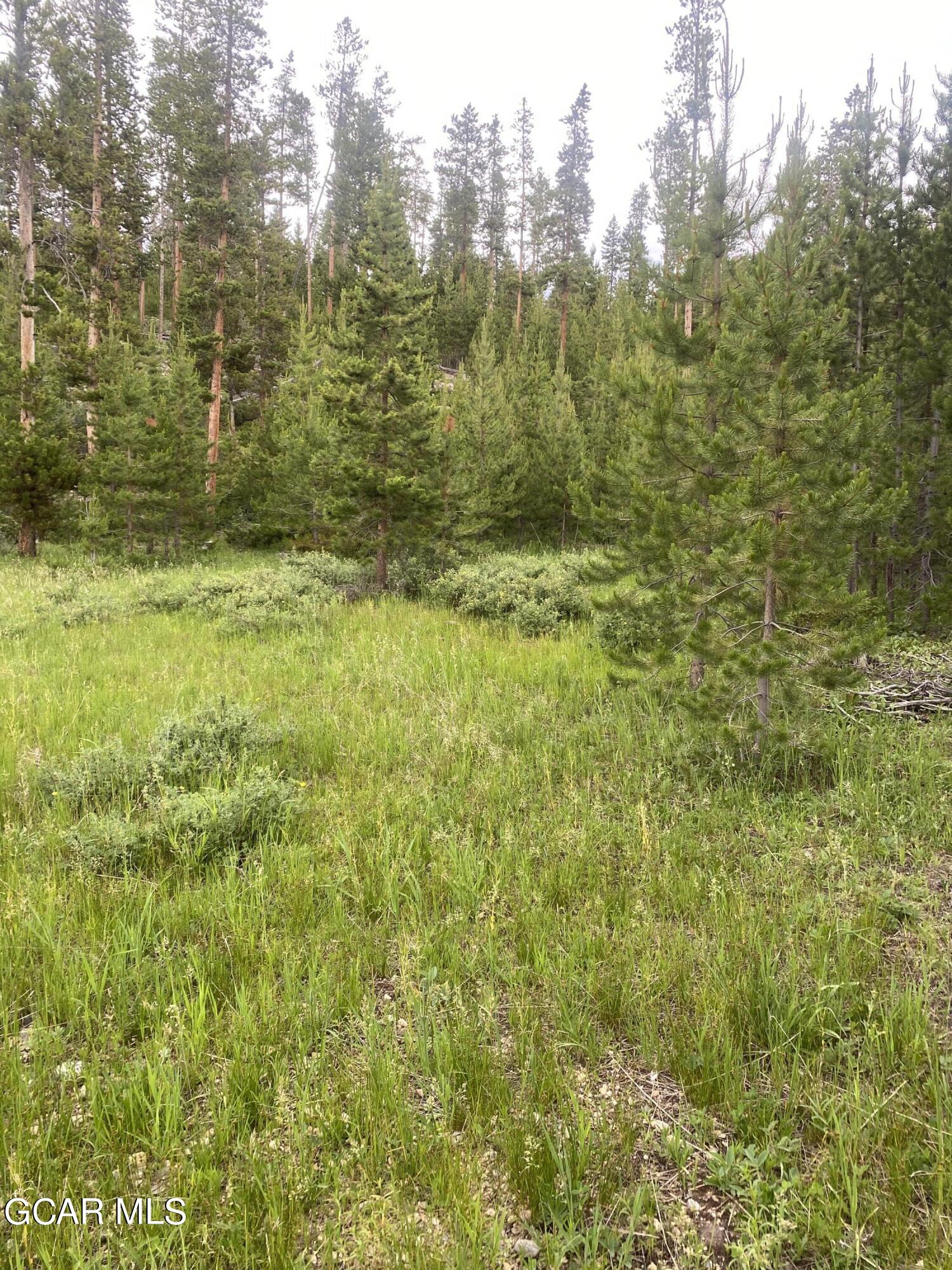 54 GCR 4658 Grand Lake CO 80447