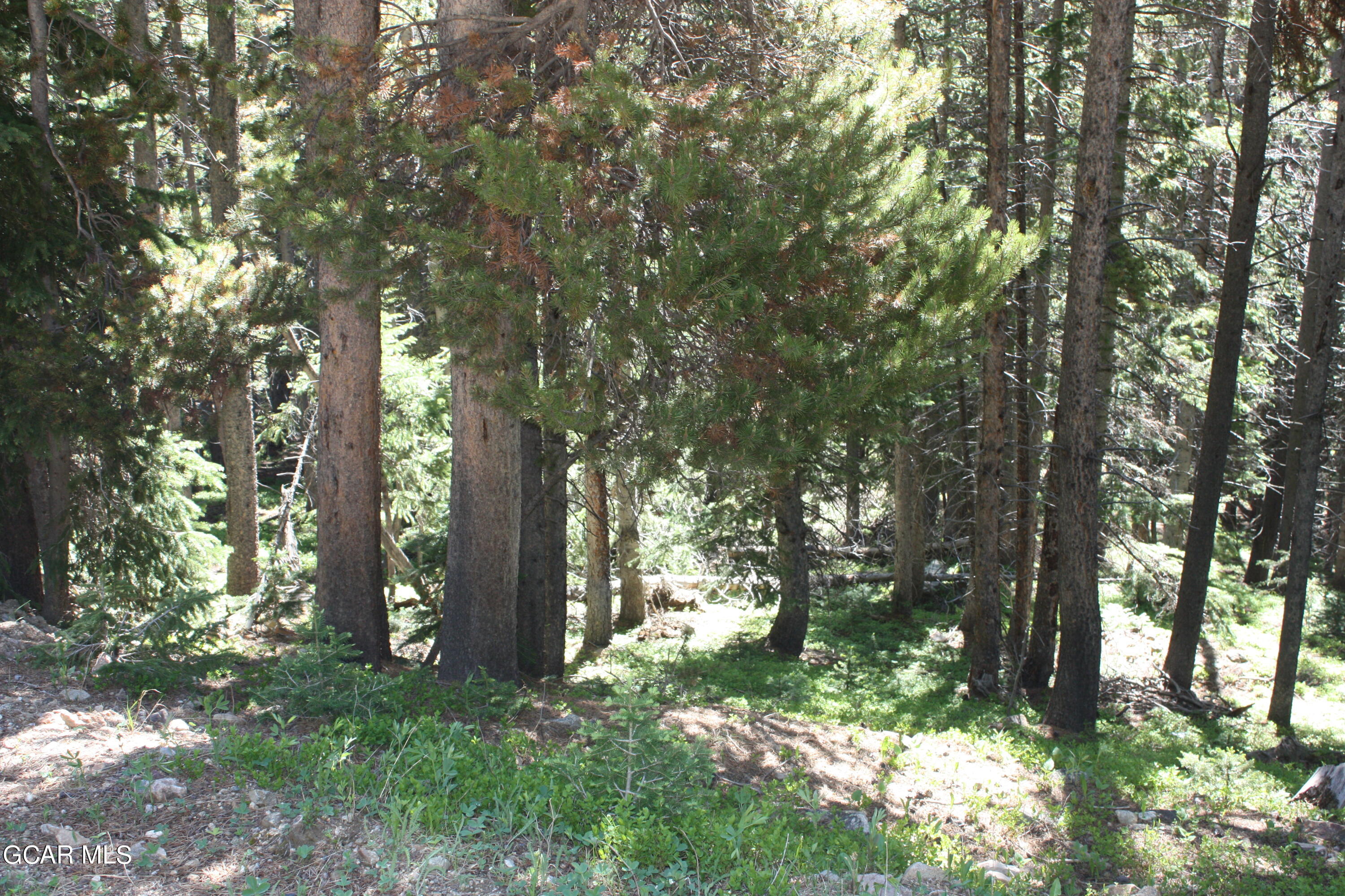 Tbd Texas Circle Idaho Springs CO 80452