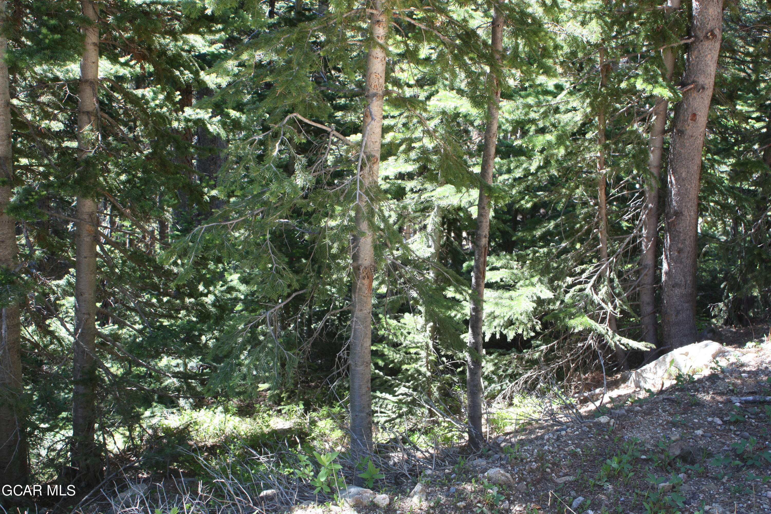 Tbd Texas Circle Idaho Springs CO 80452