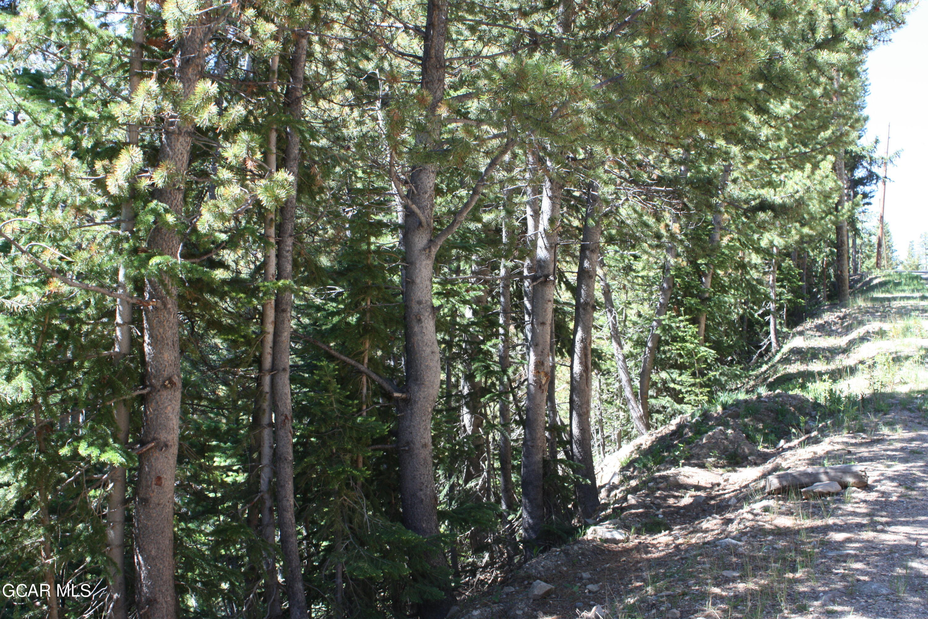 Tbd Texas Circle Idaho Springs CO 80452
