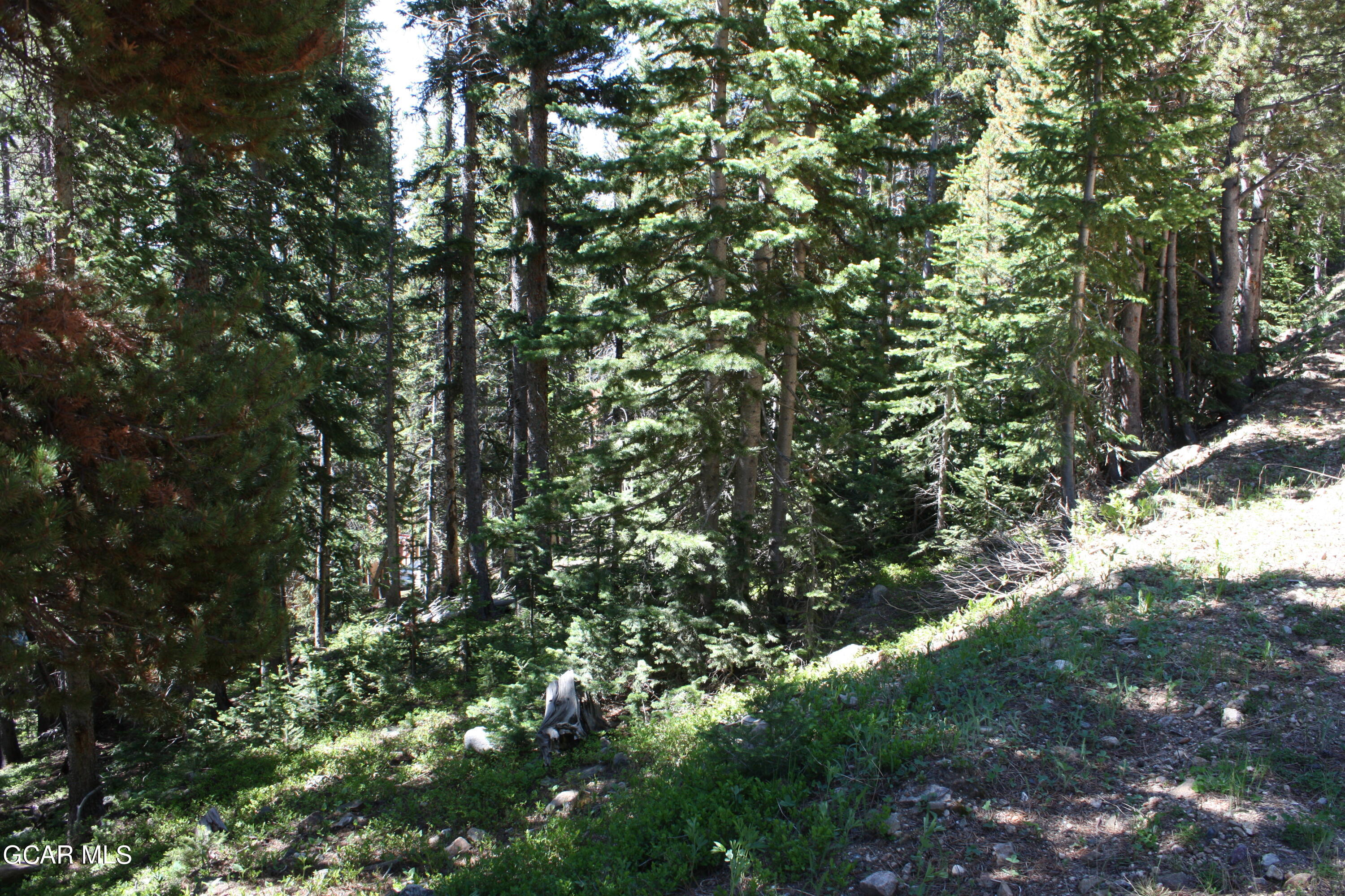 Tbd Texas Circle Idaho Springs CO 80452