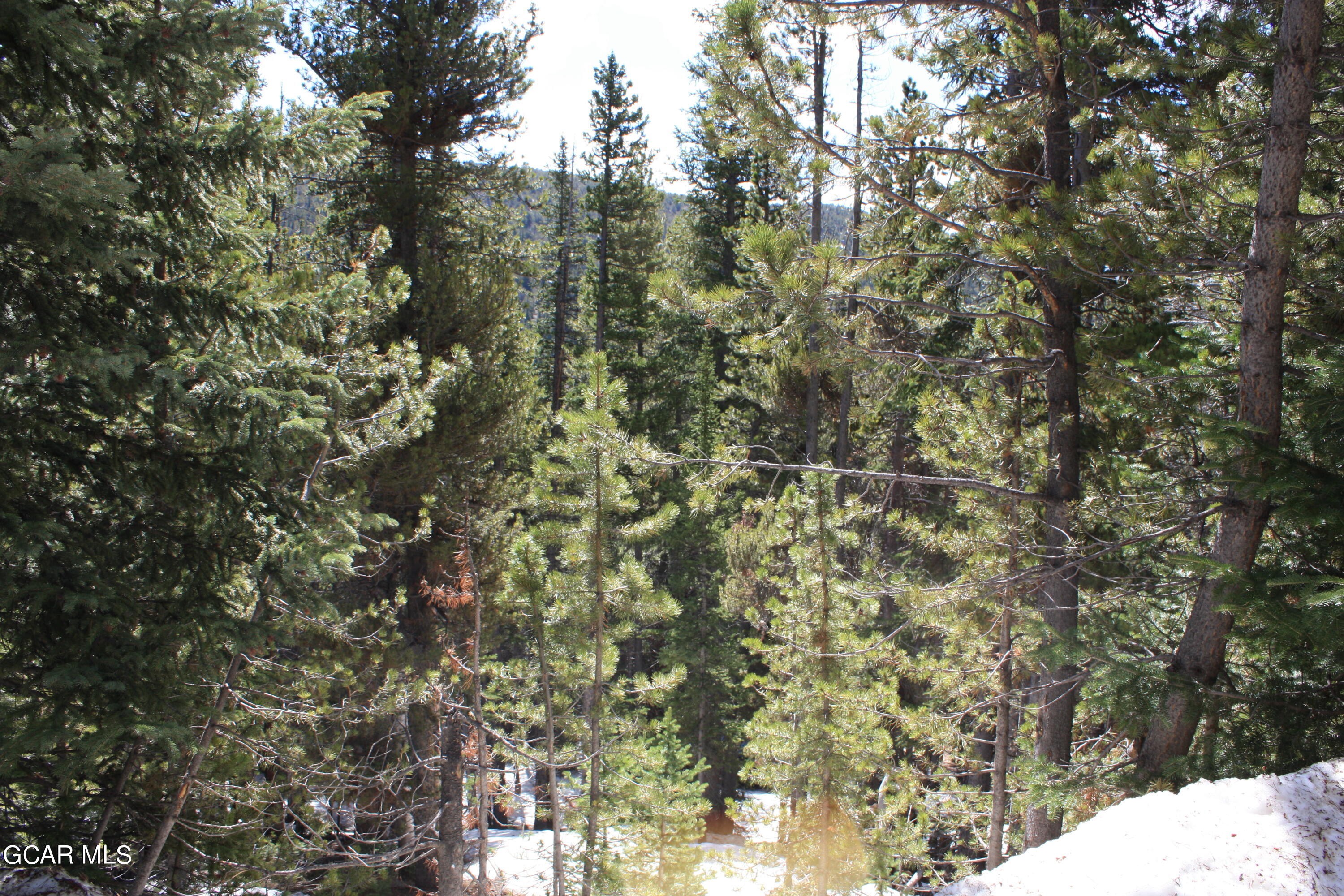 Tbd Texas Circle Idaho Springs CO 80452