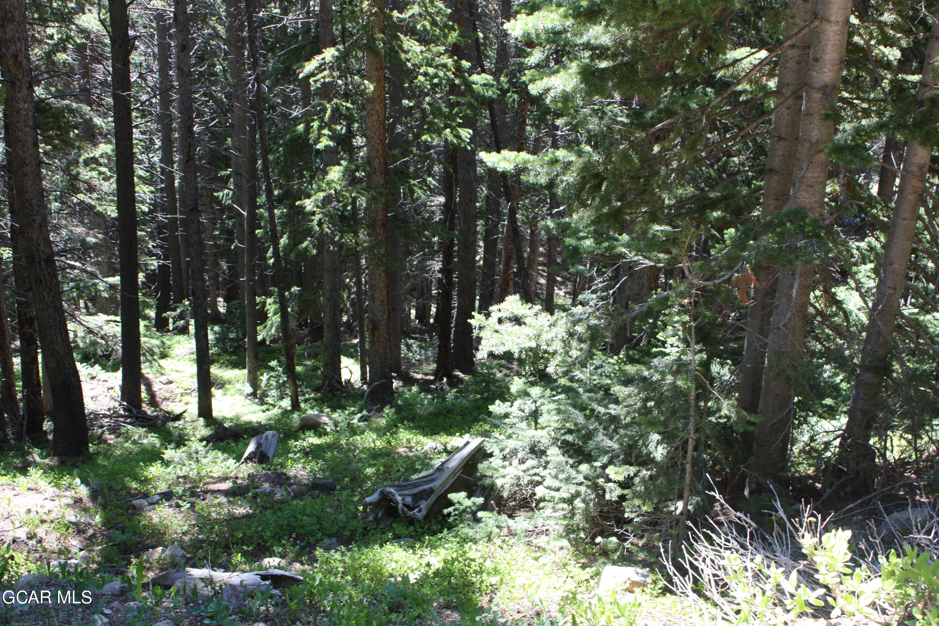 Tbd Texas Circle Idaho Springs CO 80452
