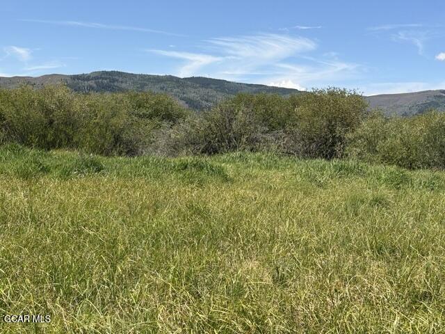 19 Willow Drive Granby CO 80446