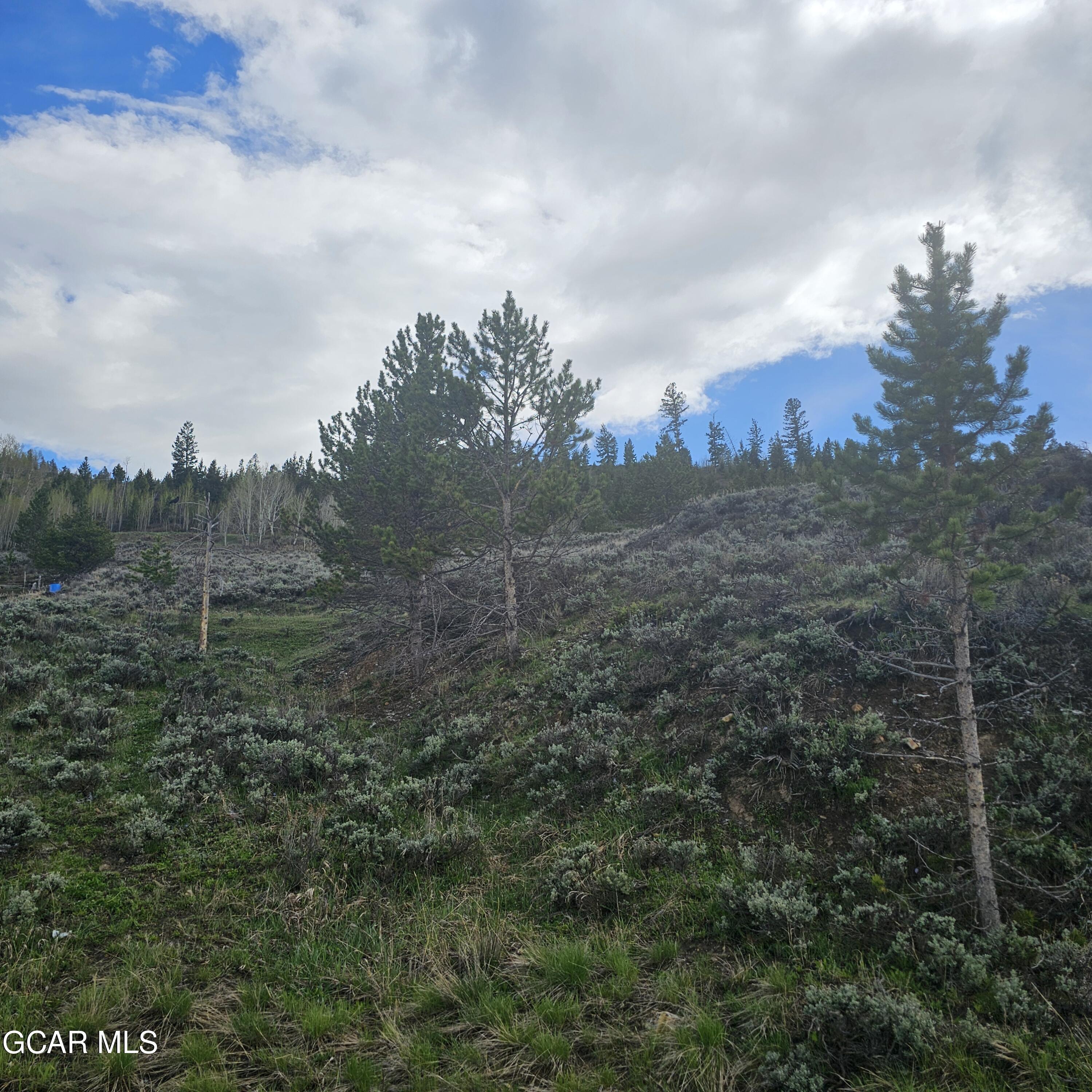 Tbd Roosevelt Hot Sulphur Springs CO 80451