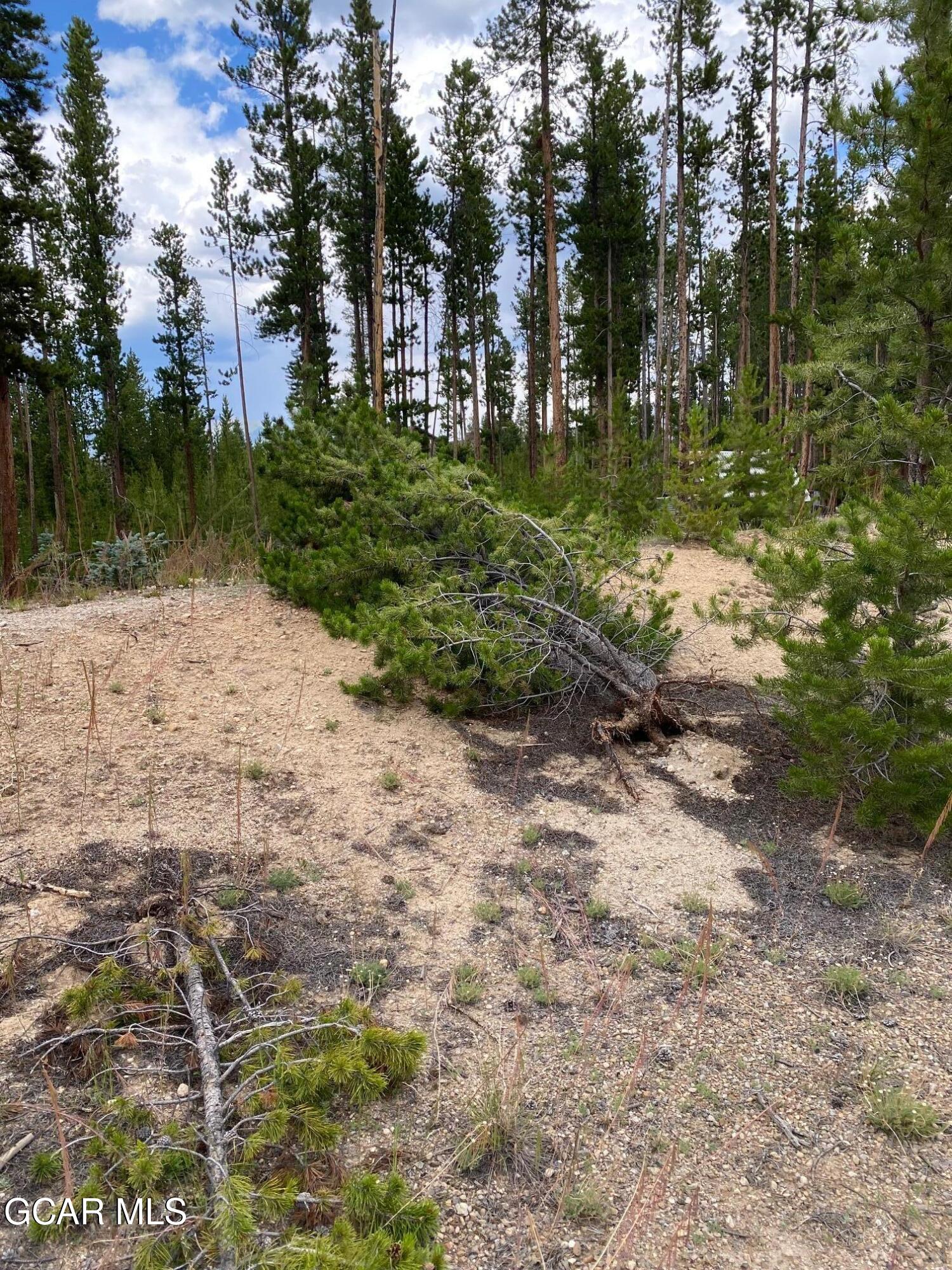 63 GCR 499 Grand Lake CO 80447