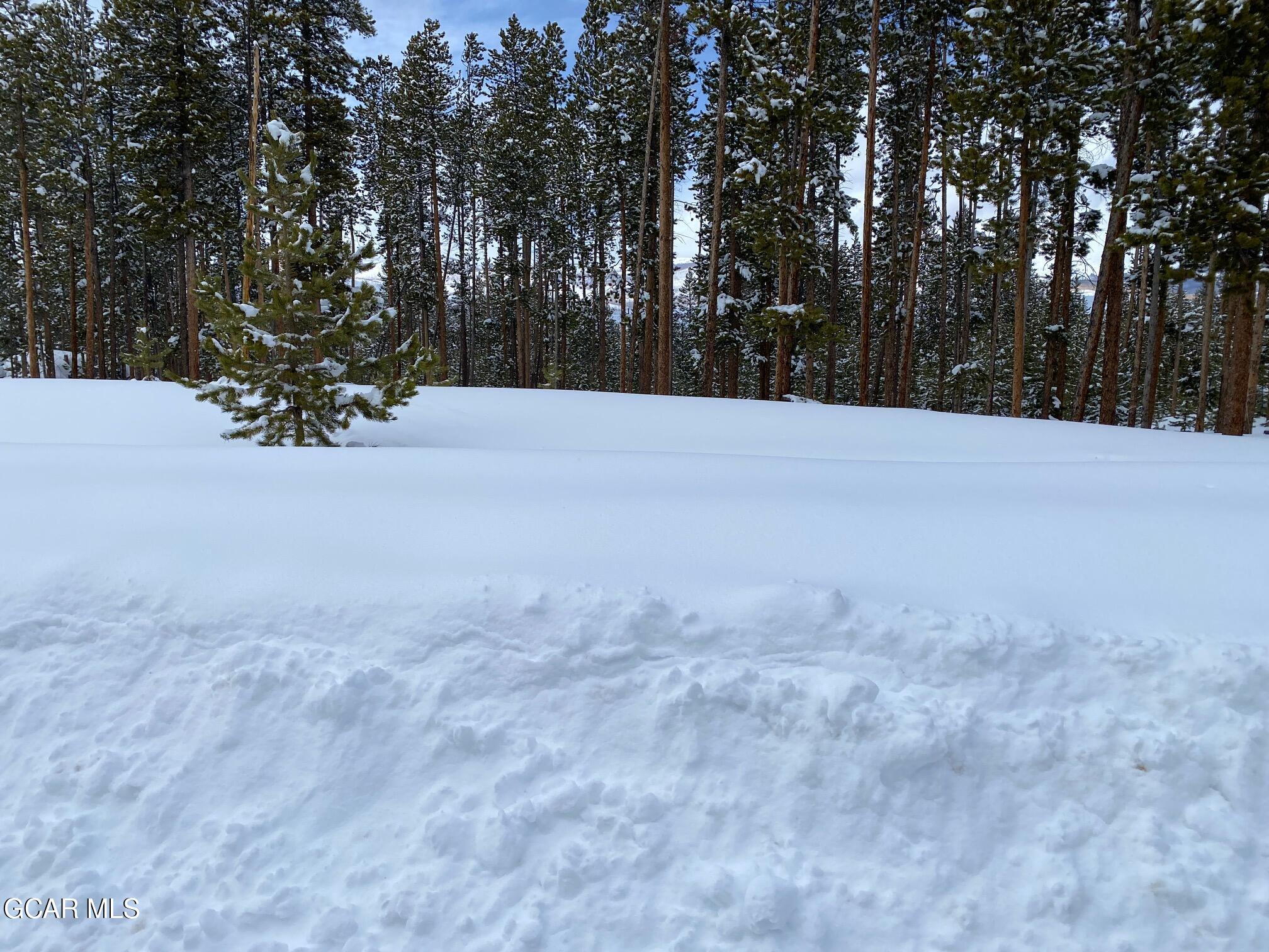 63 GCR 499 Grand Lake CO 80447