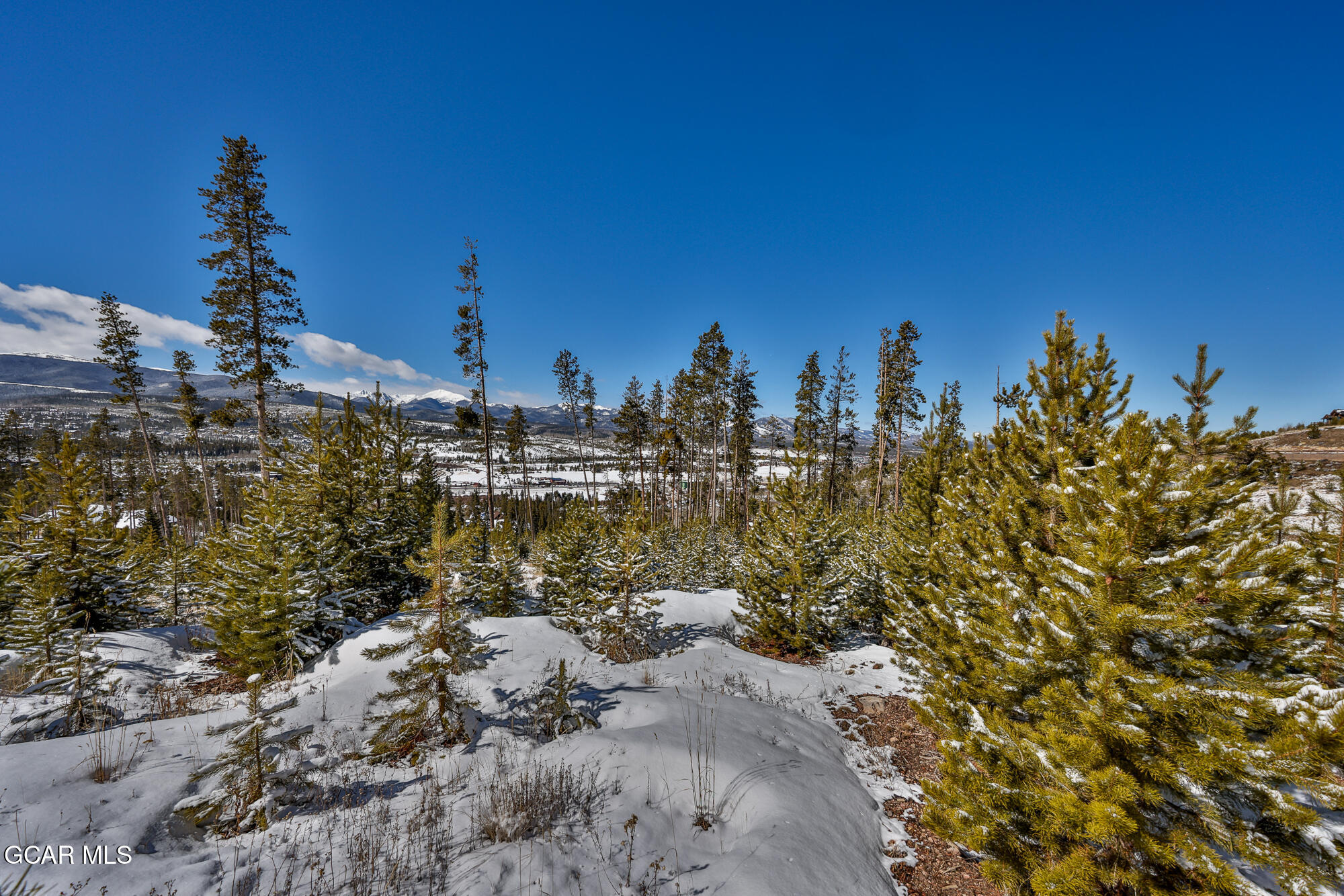 1055 Pioneer Trail Fraser CO 80442