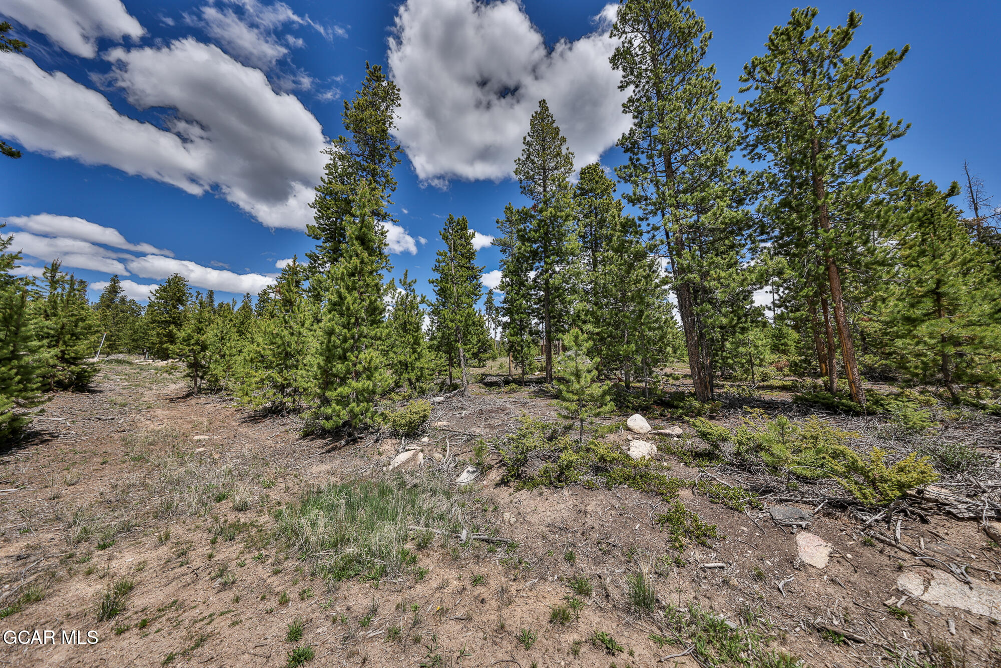 62 GCR 4459 Grand Lake CO 80447