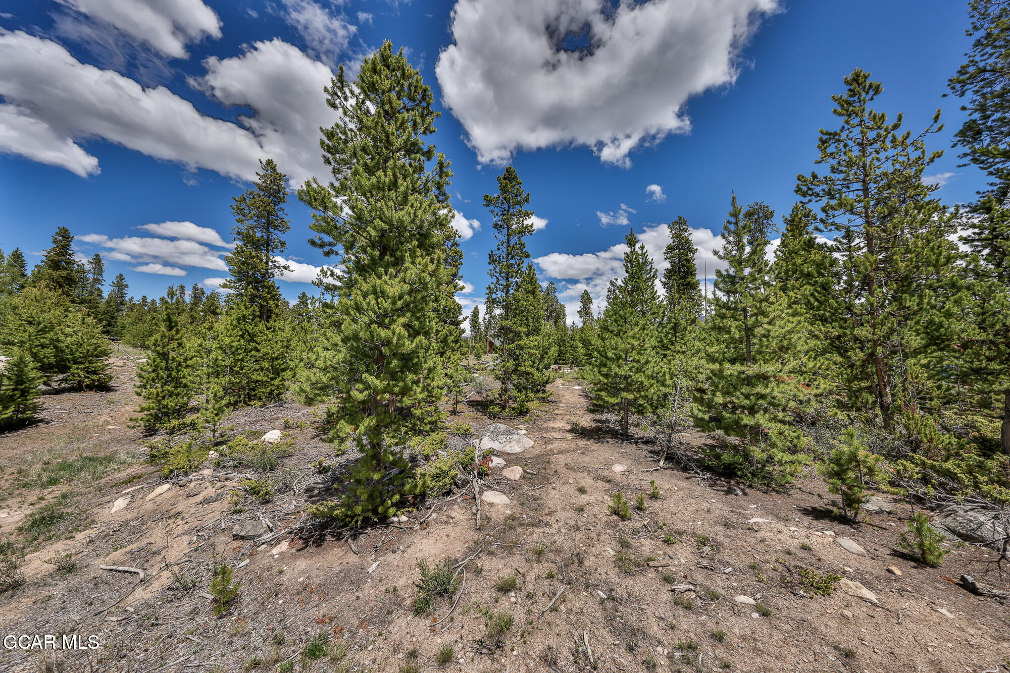 62 GCR 4459 Grand Lake CO 80447