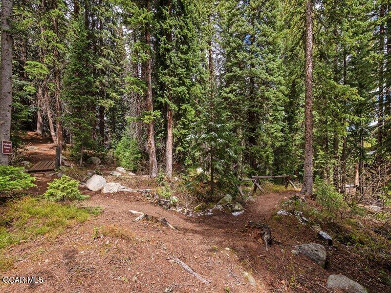 496 Iron Horse Way Winter Park CO 80482