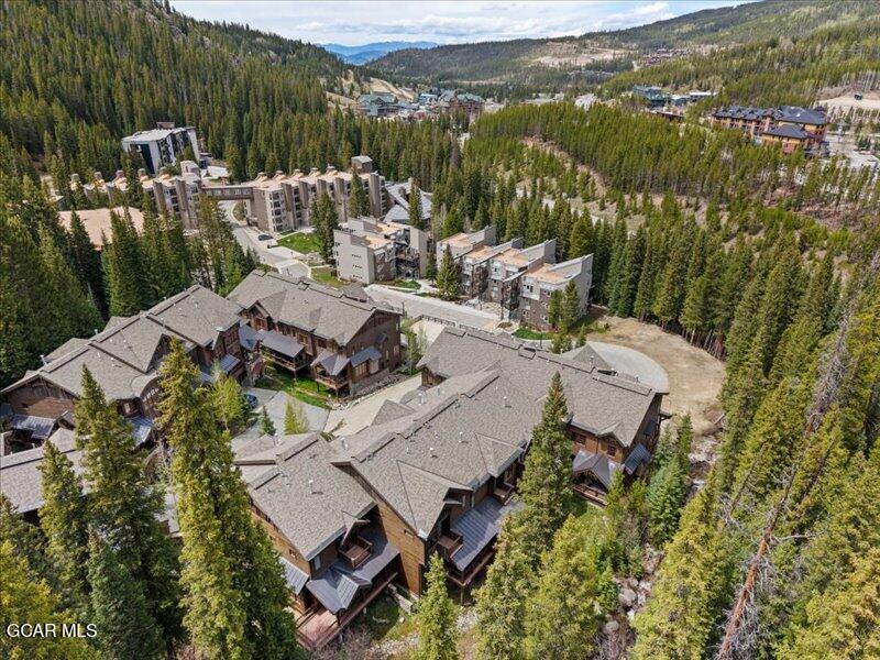 496 Iron Horse Way Winter Park CO 80482