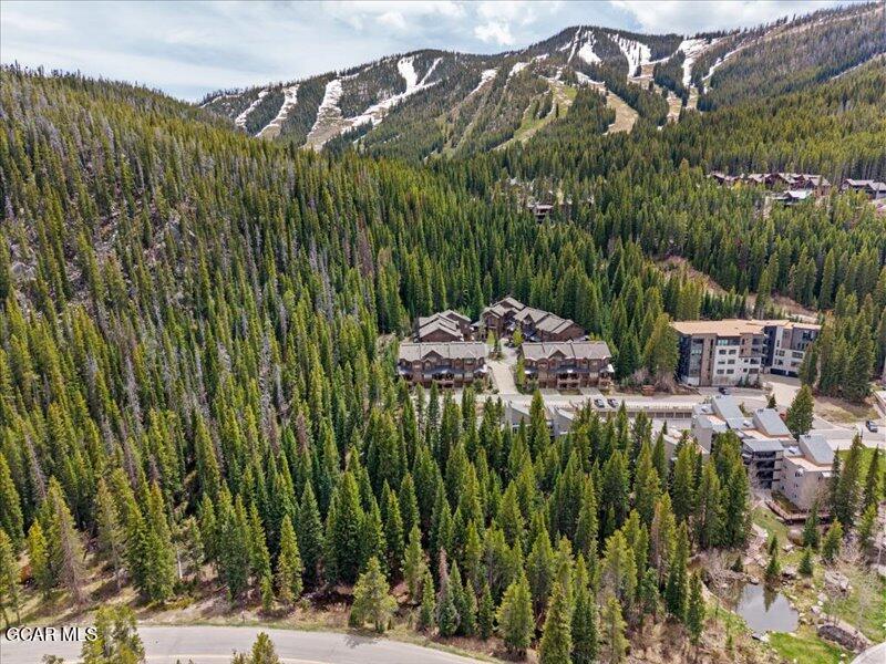 496 Iron Horse Way Winter Park CO 80482