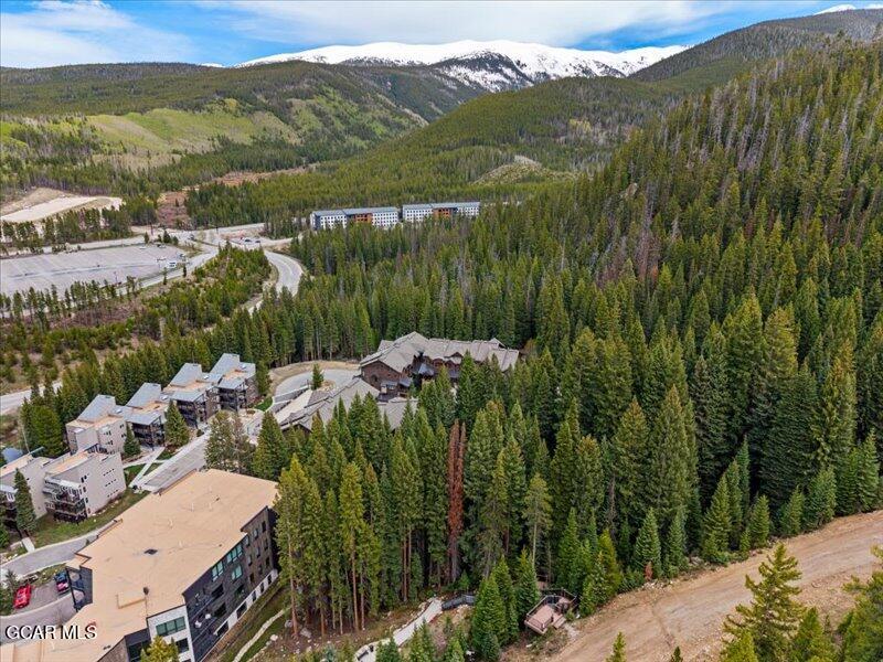 496 Iron Horse Way Winter Park CO 80482