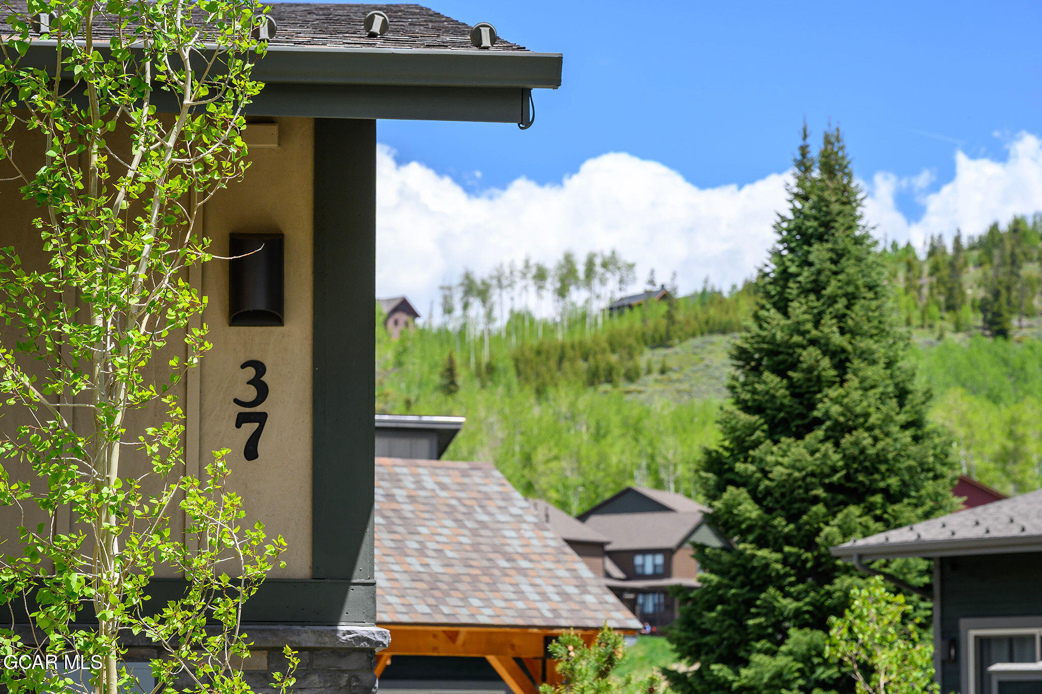 37 Kingfisher Fraser CO 80442