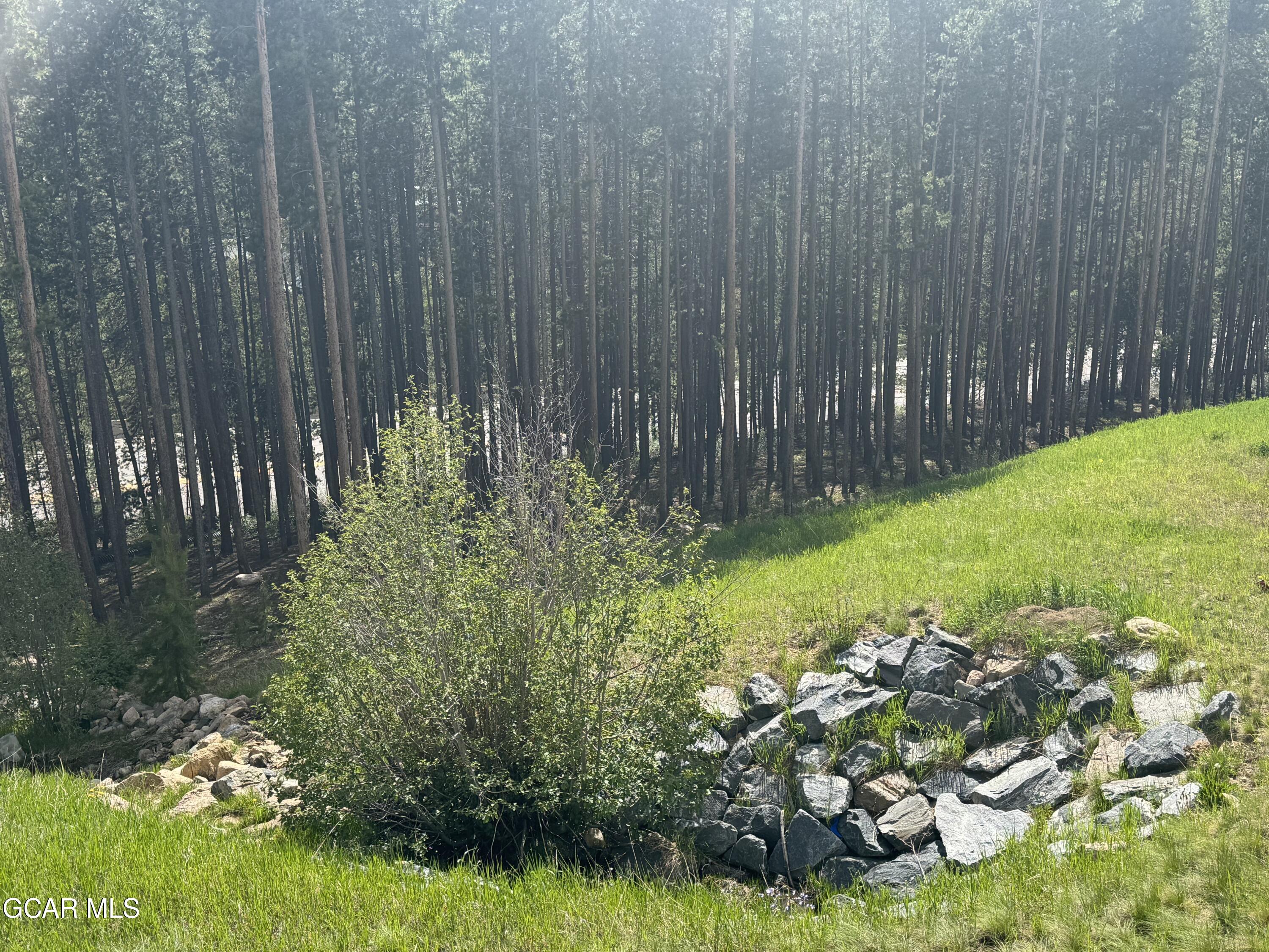 411 Antler Way Winter Park CO 80482