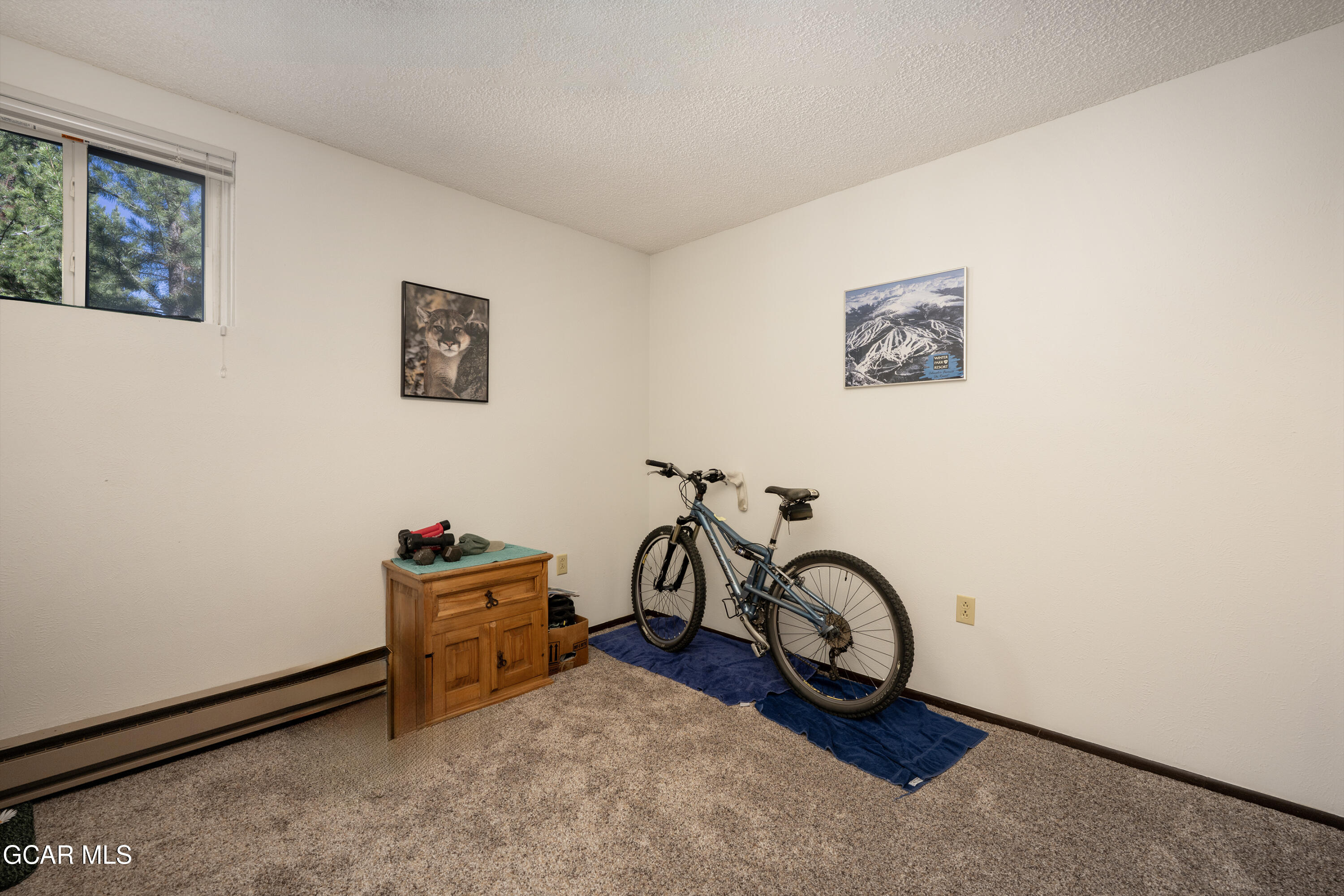 520 Wapiti Lane Fraser CO 80442