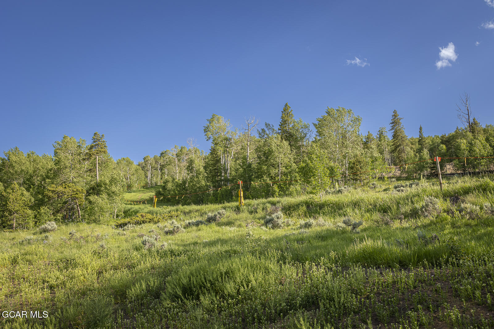 142 Saddle Mountain Camp Road Granby CO 80446