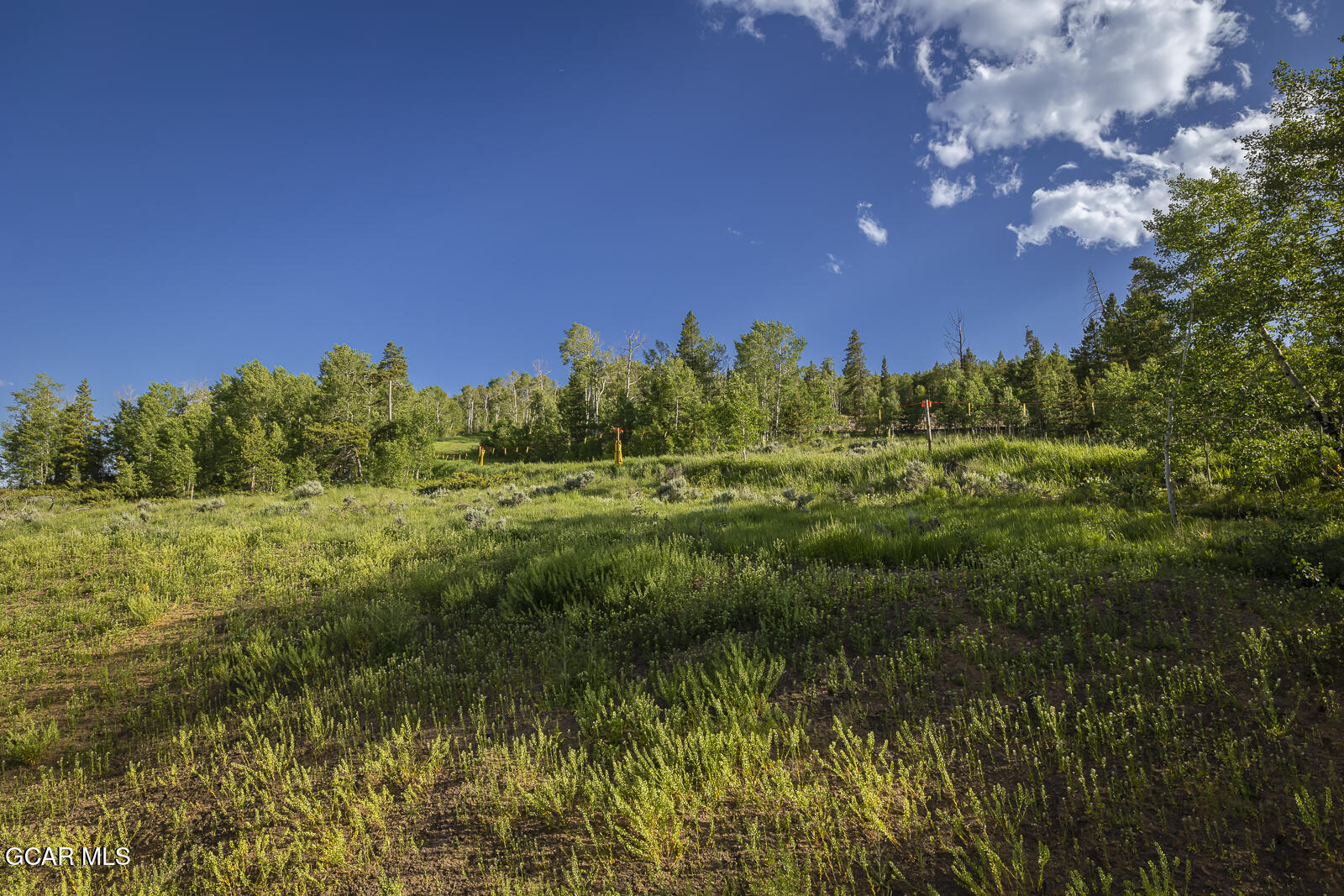 142 Saddle Mountain Camp Road Granby CO 80446