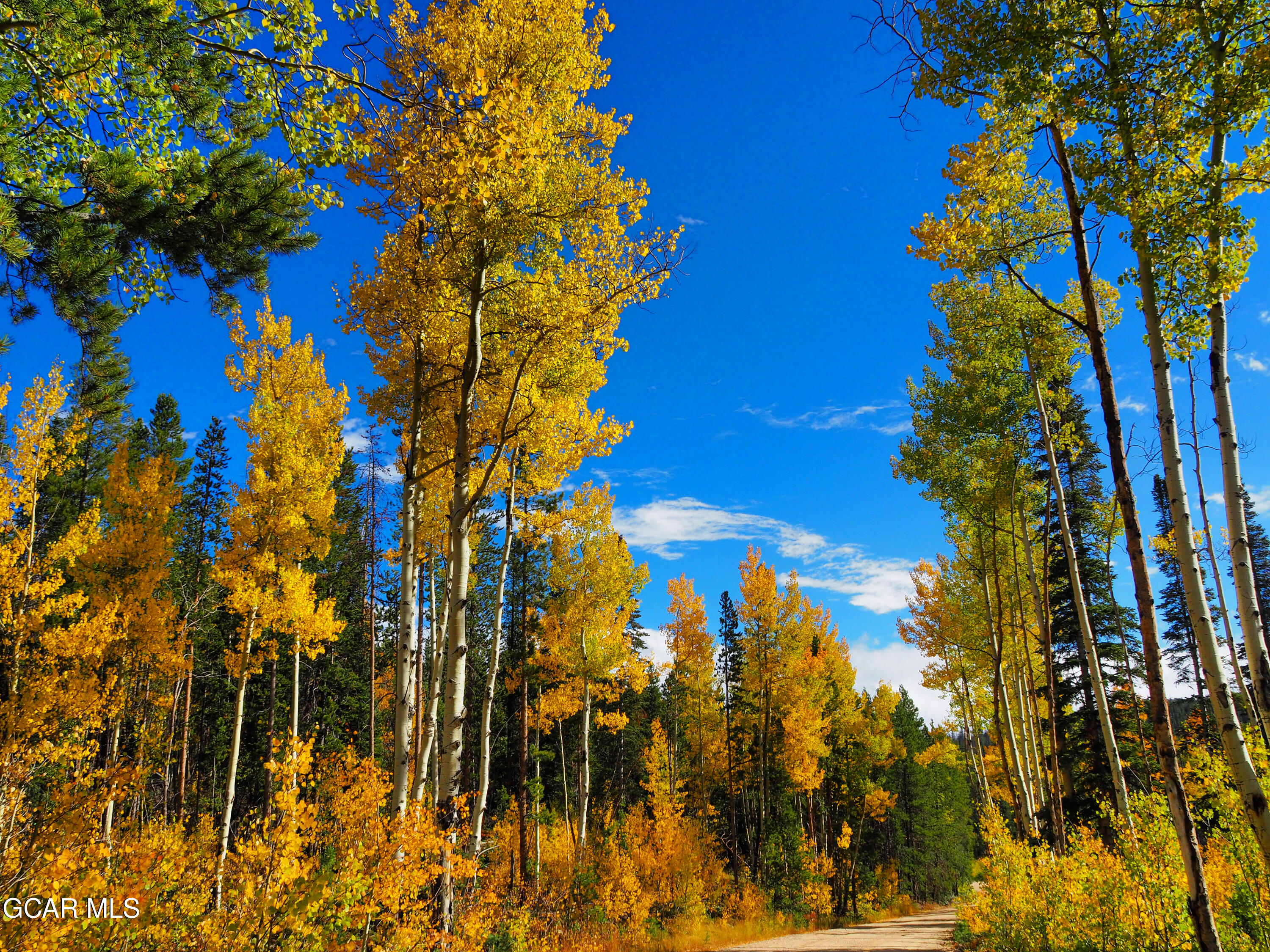 47 Longs Peak Drive Fraser CO 80442