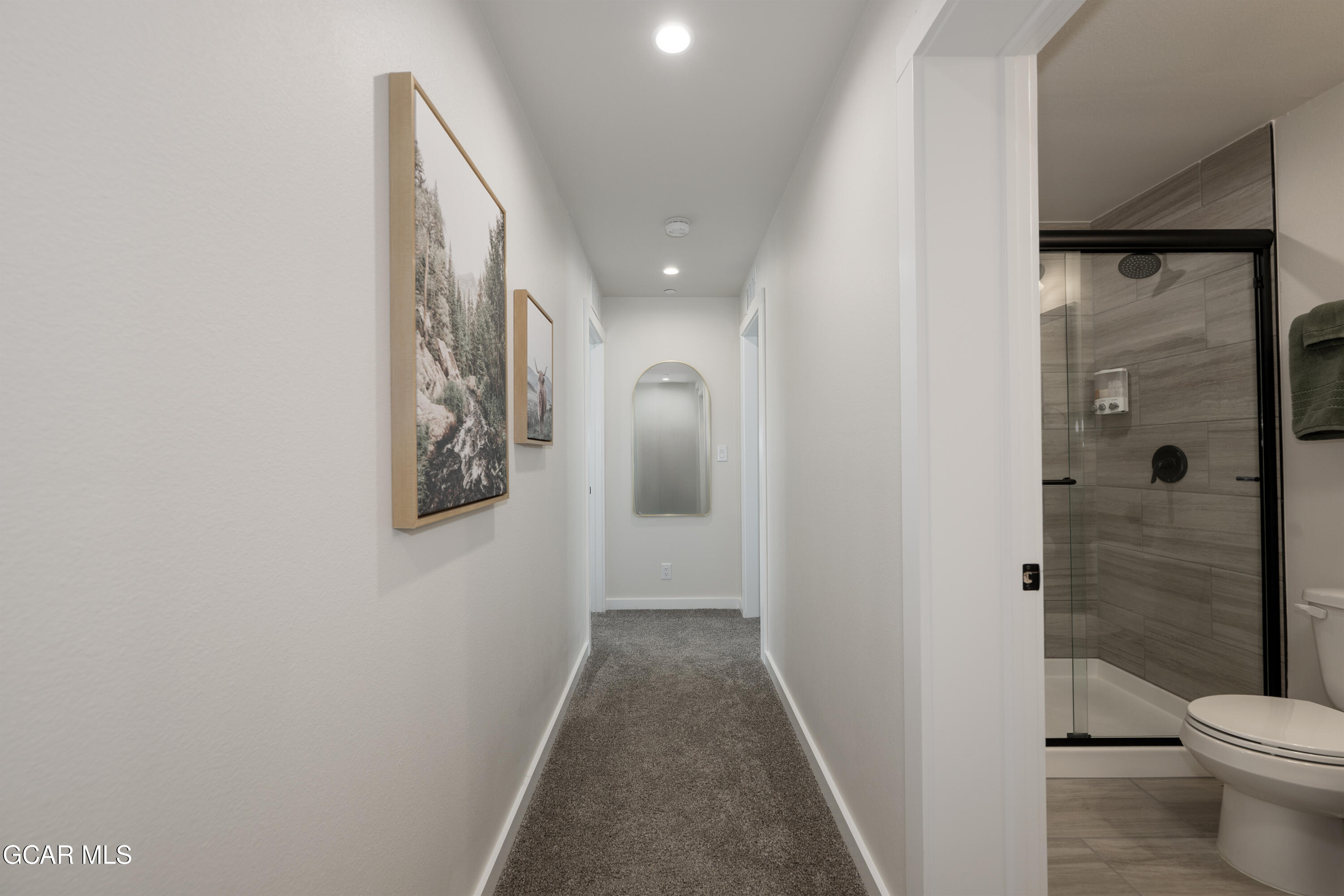 461 Muse Drive Fraser CO 80442