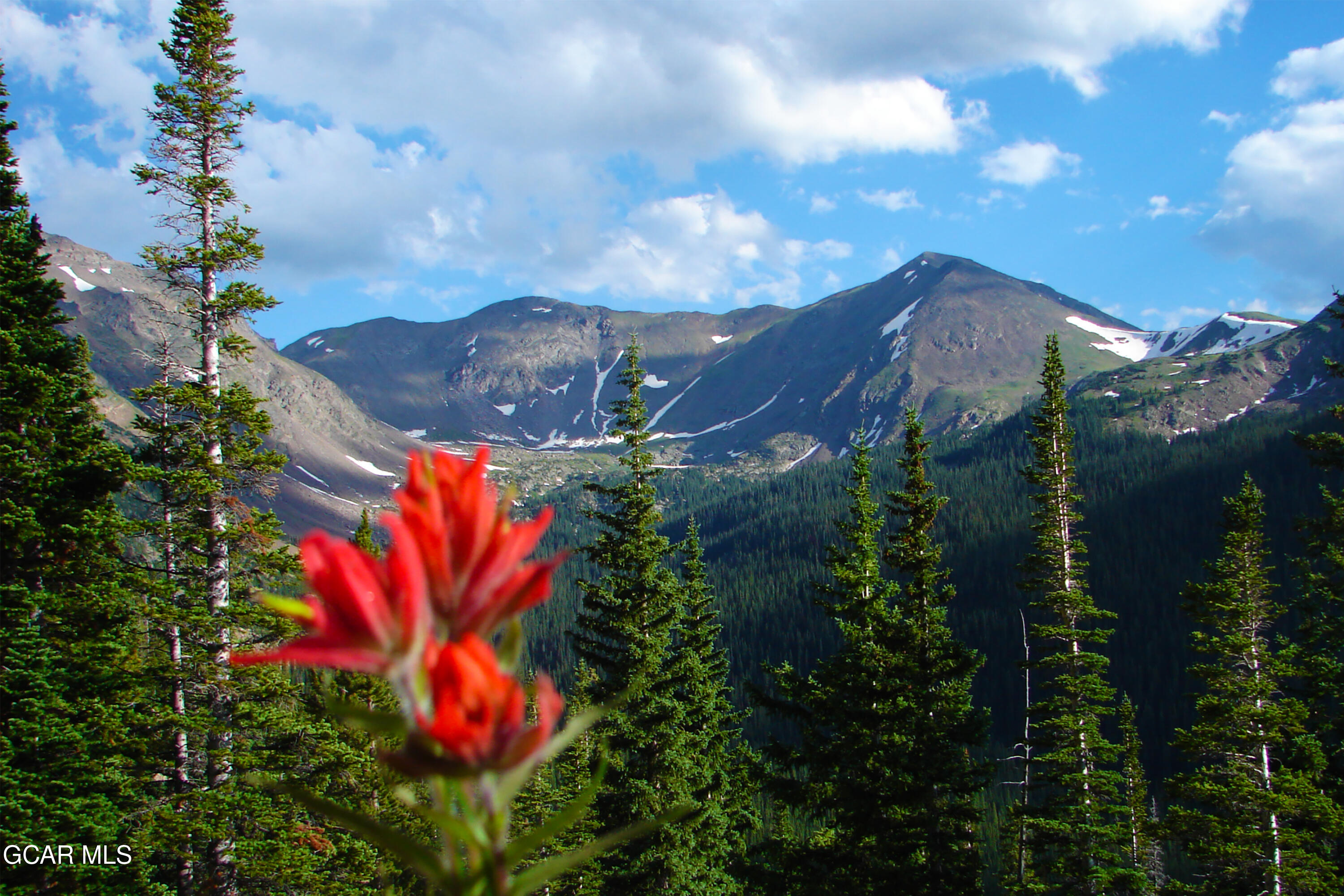 37 Mountain Flower Circle Fraser CO 80442