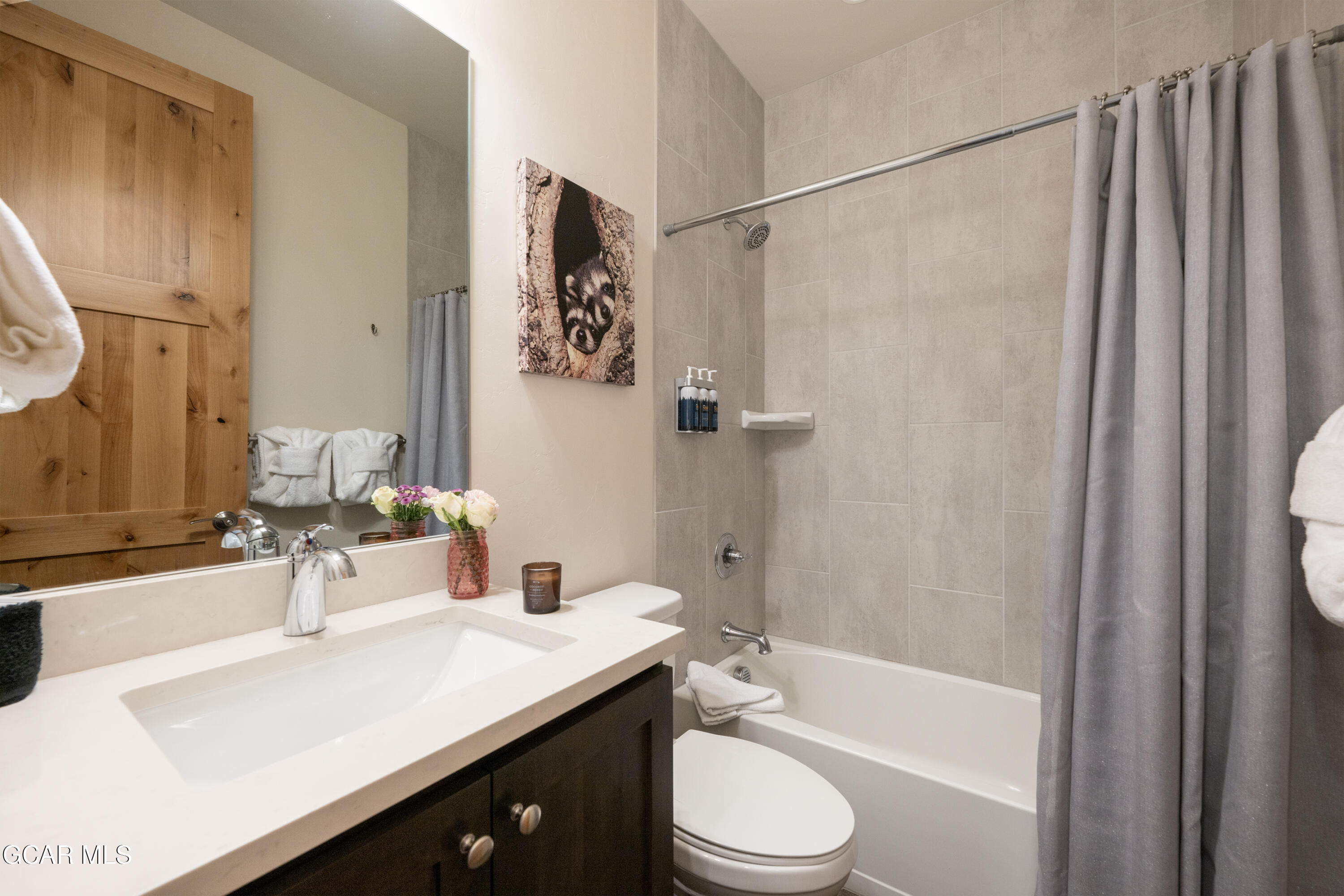 288 Lions Gate Drive Winter Park CO 80482