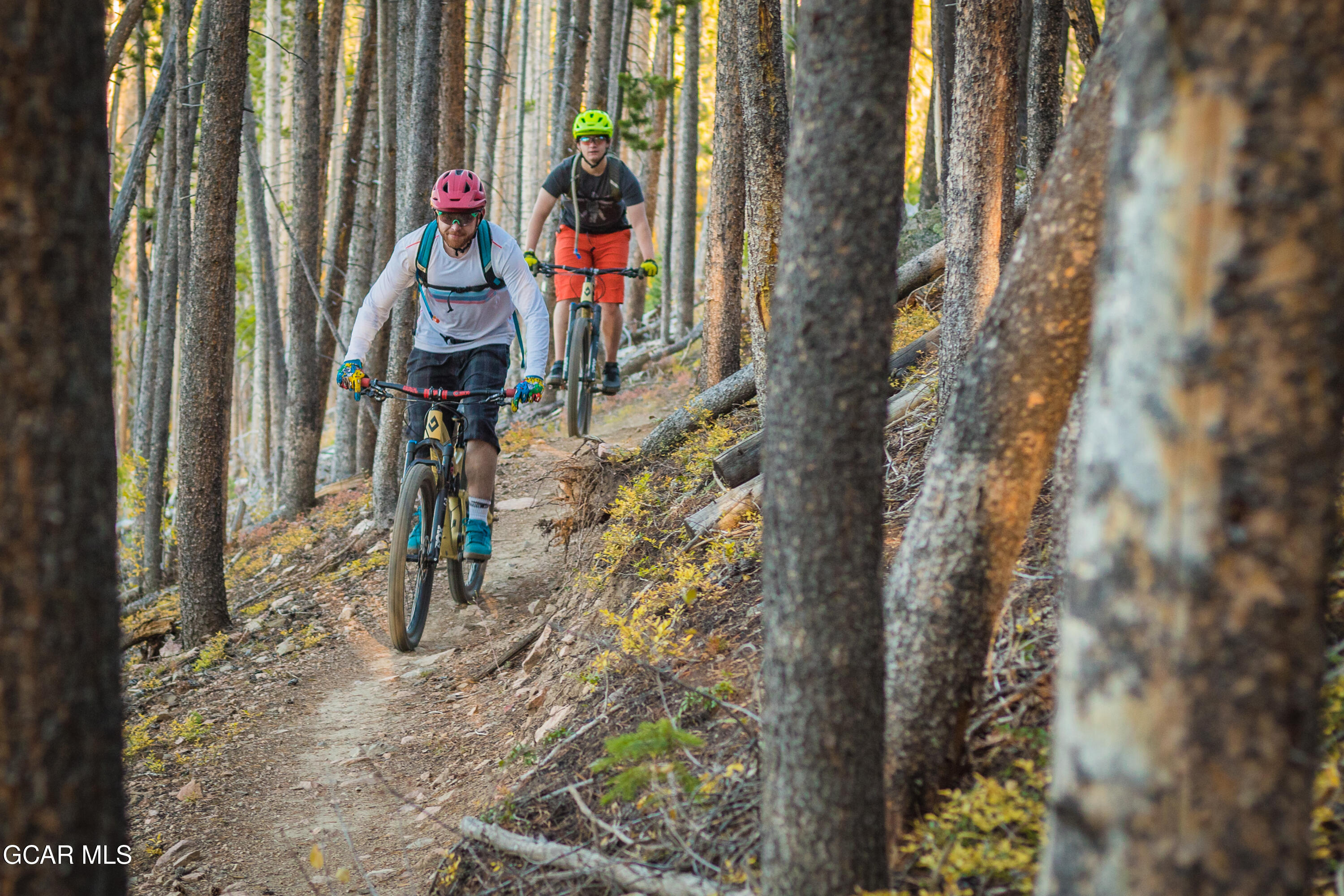 65 Bear Trail Court Winter Park CO 80482