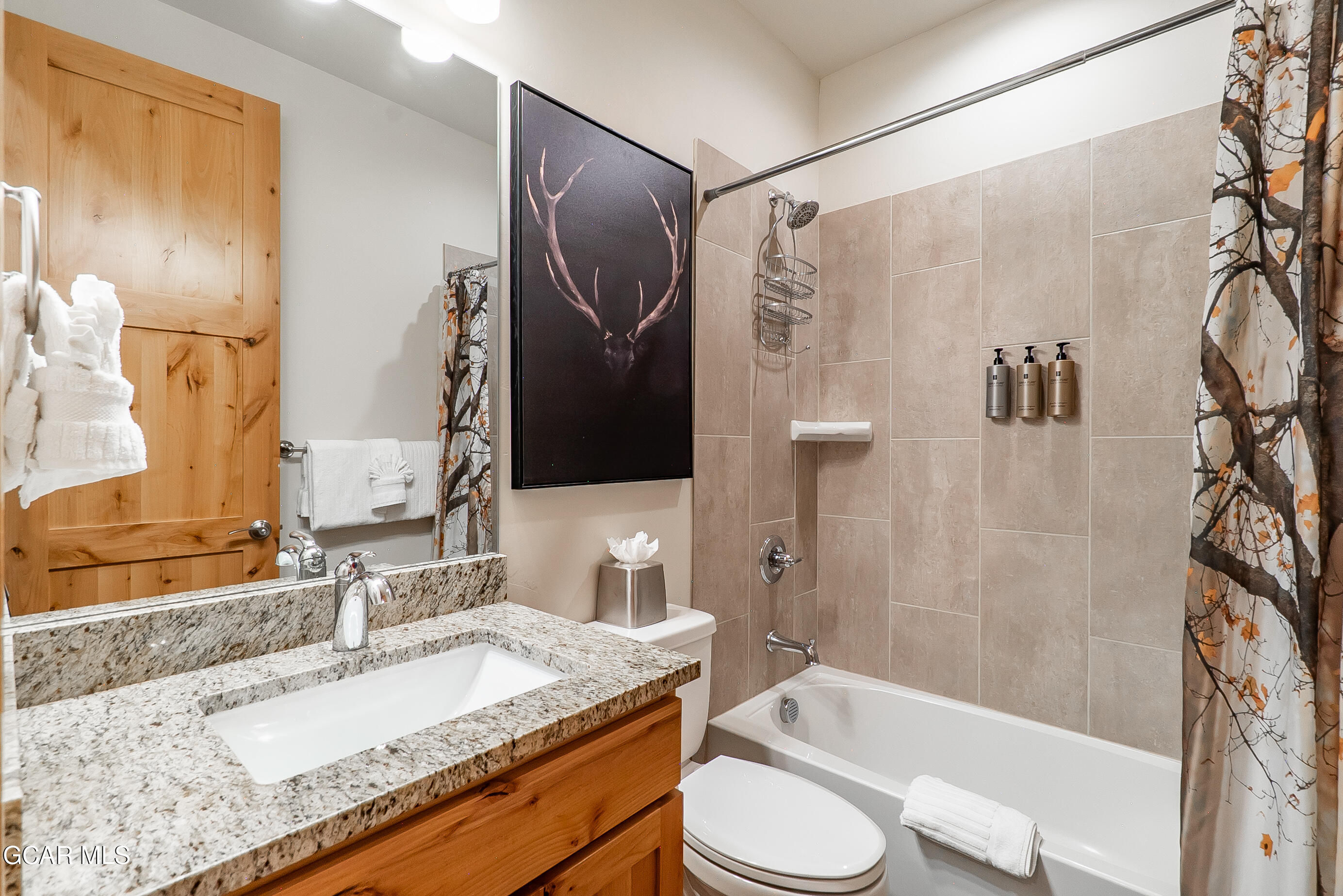 290 Lions Gate Drive Winter Park CO 80482