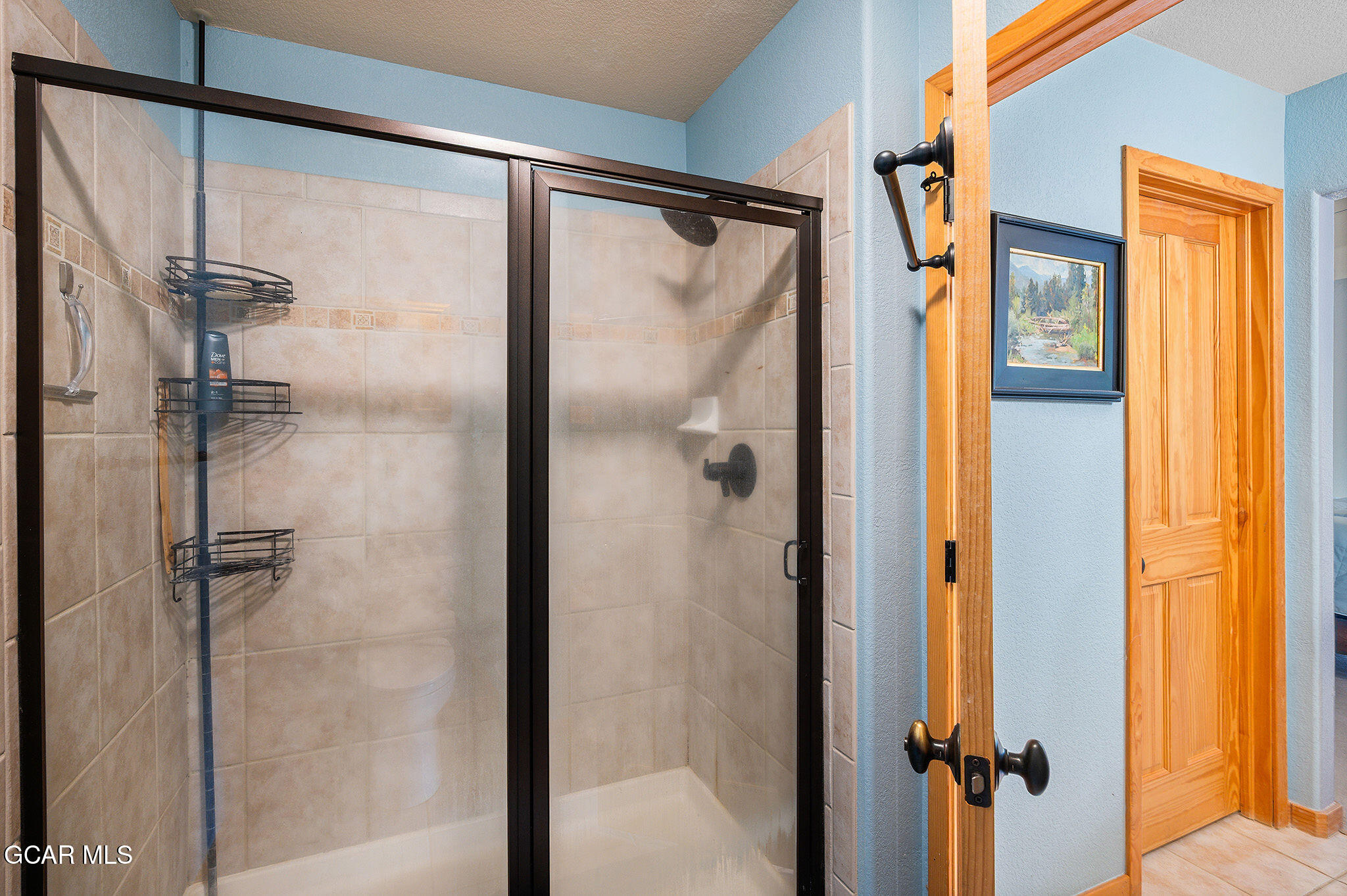 50 Reunion Court Fraser CO 80442