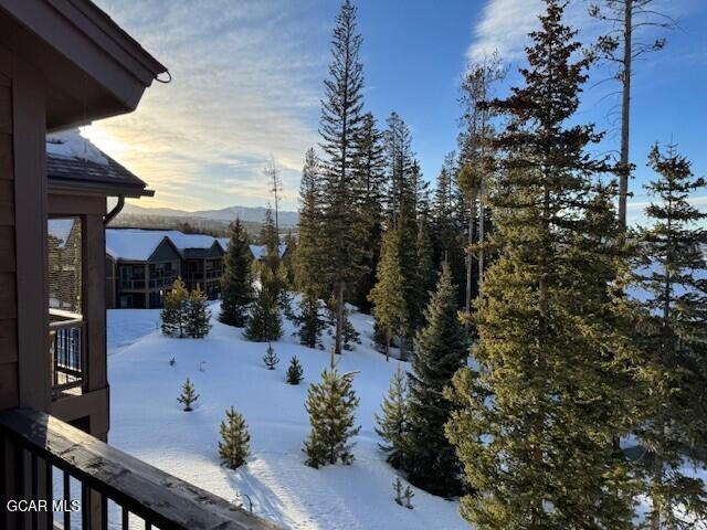 61 Lookout Point Fraser CO 80442