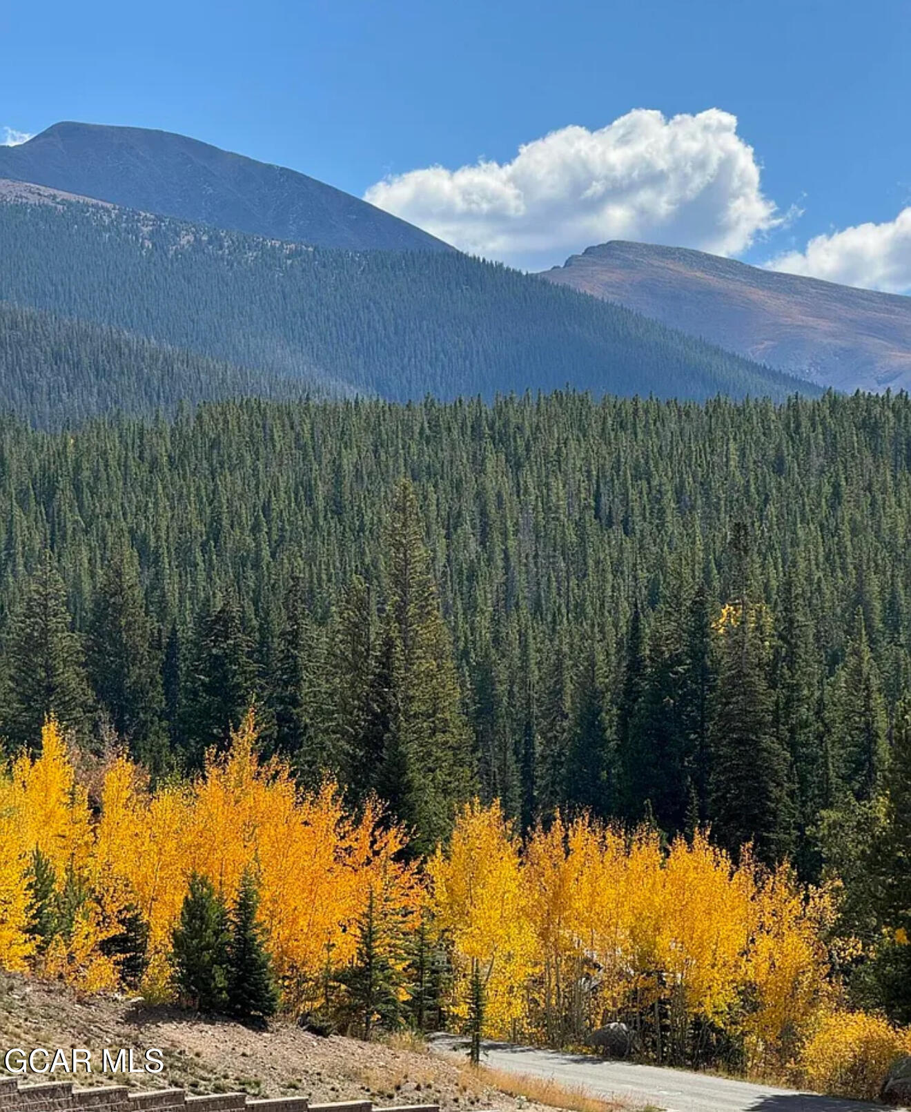 207 Lakota Park Drive Winter Park CO 80482