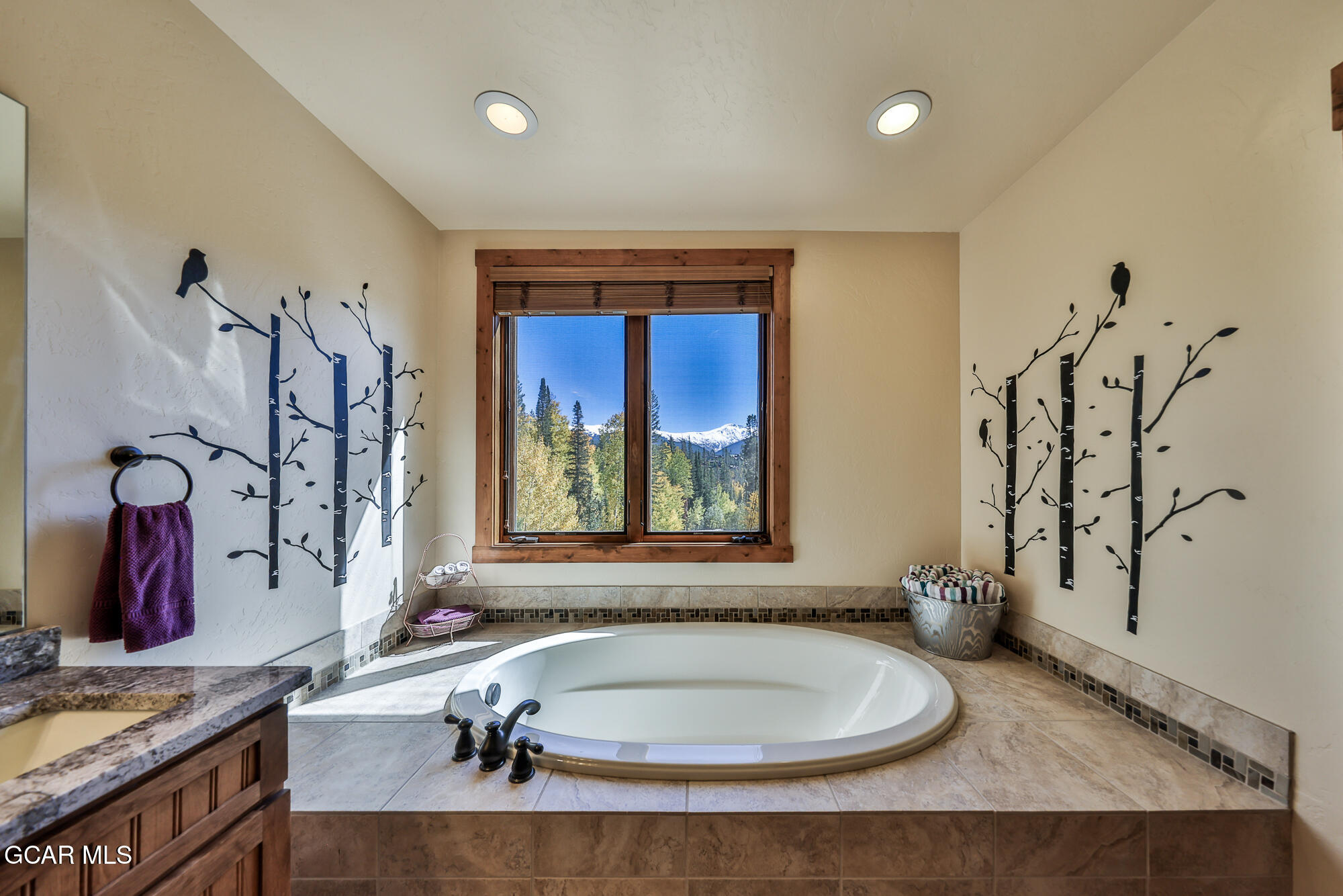455 Bear Trail Winter Park CO 80482
