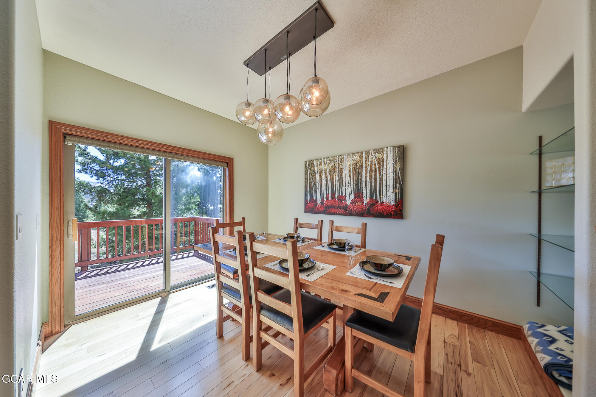 904 Wapiti Drive Fraser CO 80442