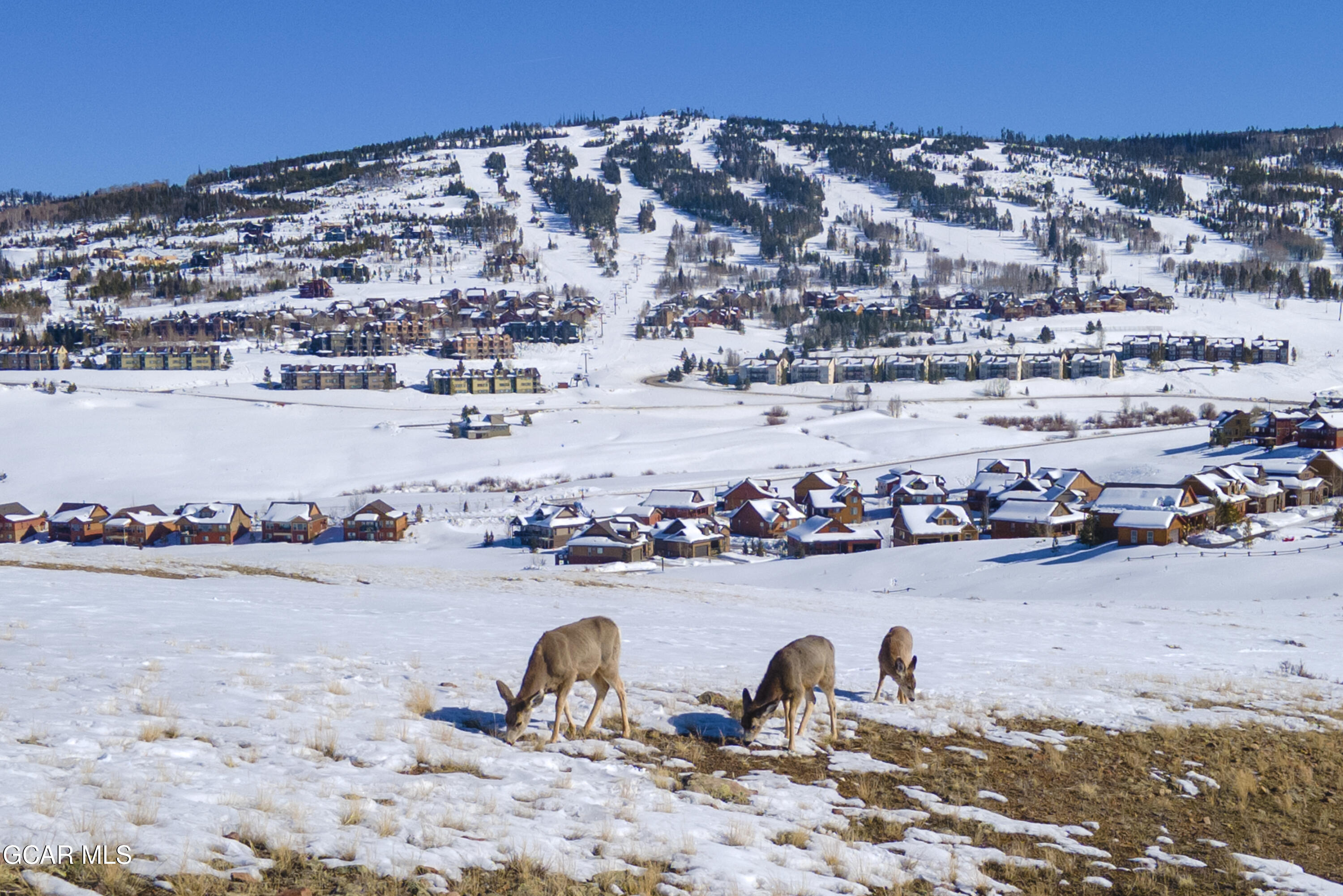 109 Saddle Mountain Camp Road Granby CO 80446