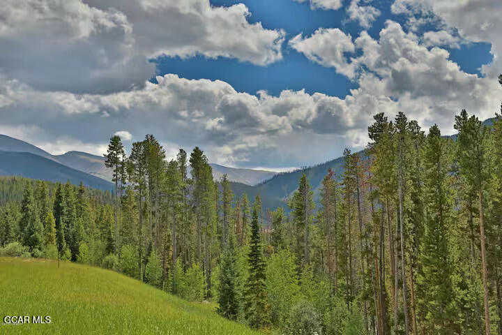 503 Antler Way Winter Park CO 80482