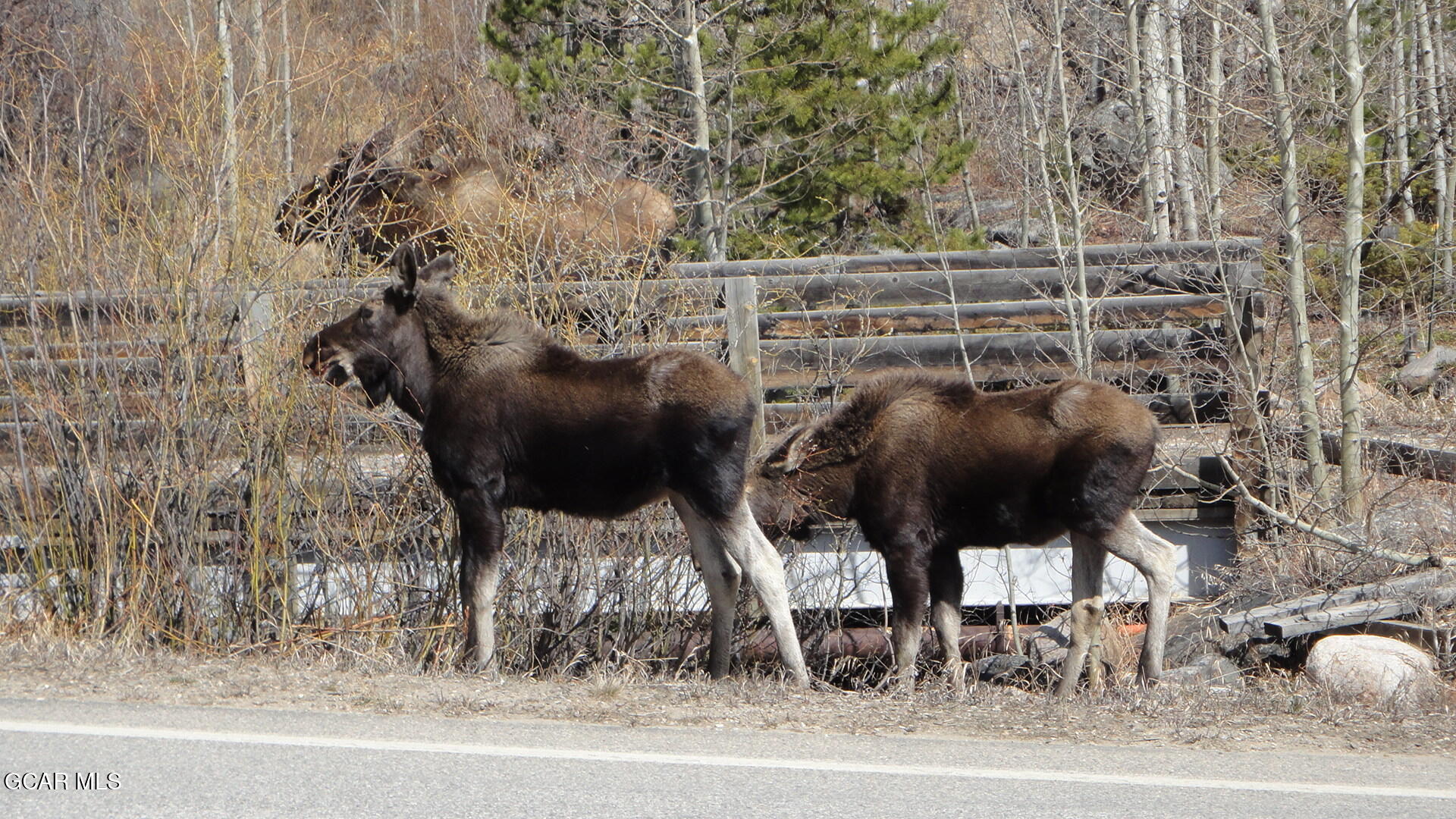 105 County Road 6525 Grand Lake CO 80447