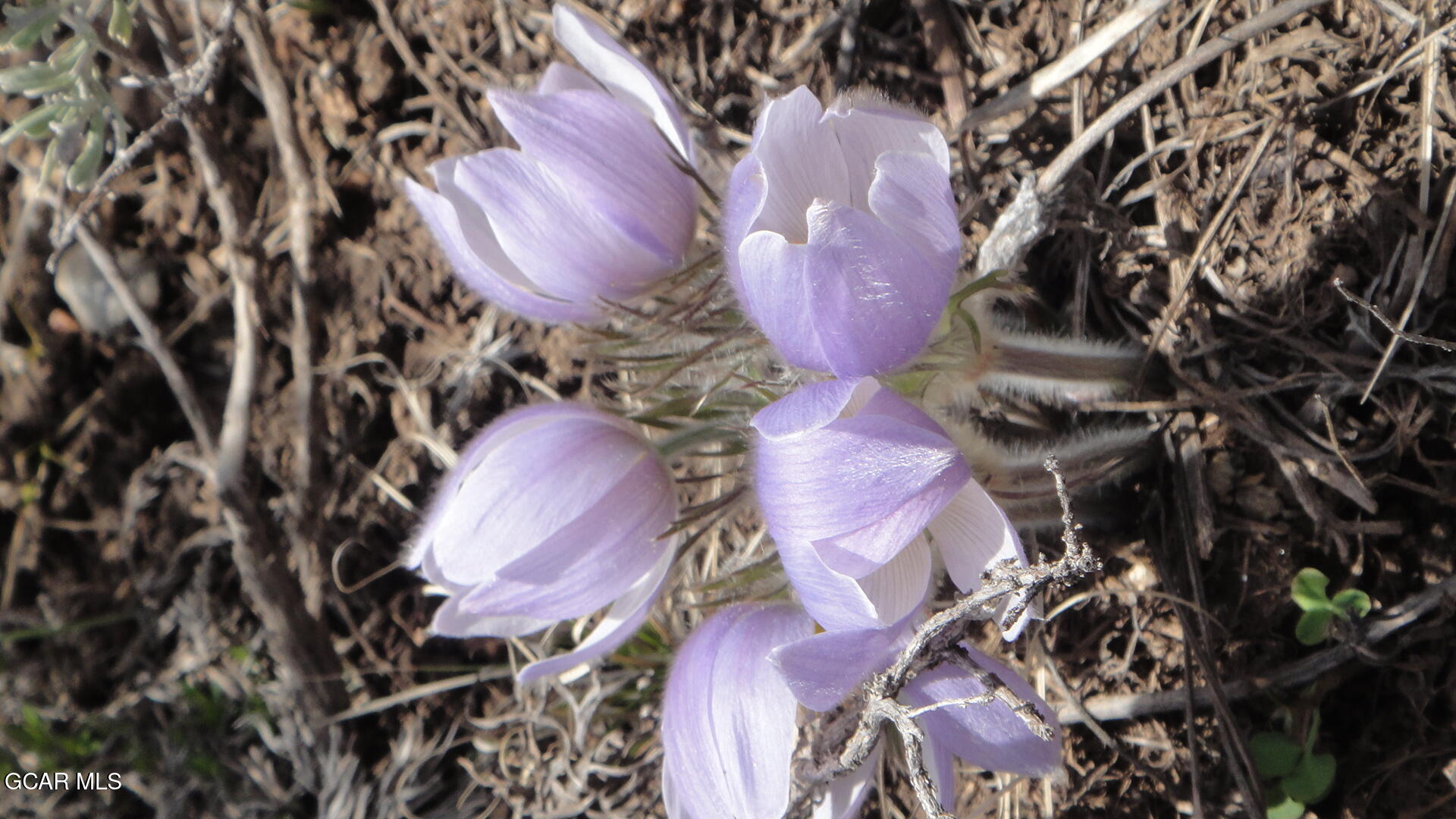 105 County Road 6525 Grand Lake CO 80447