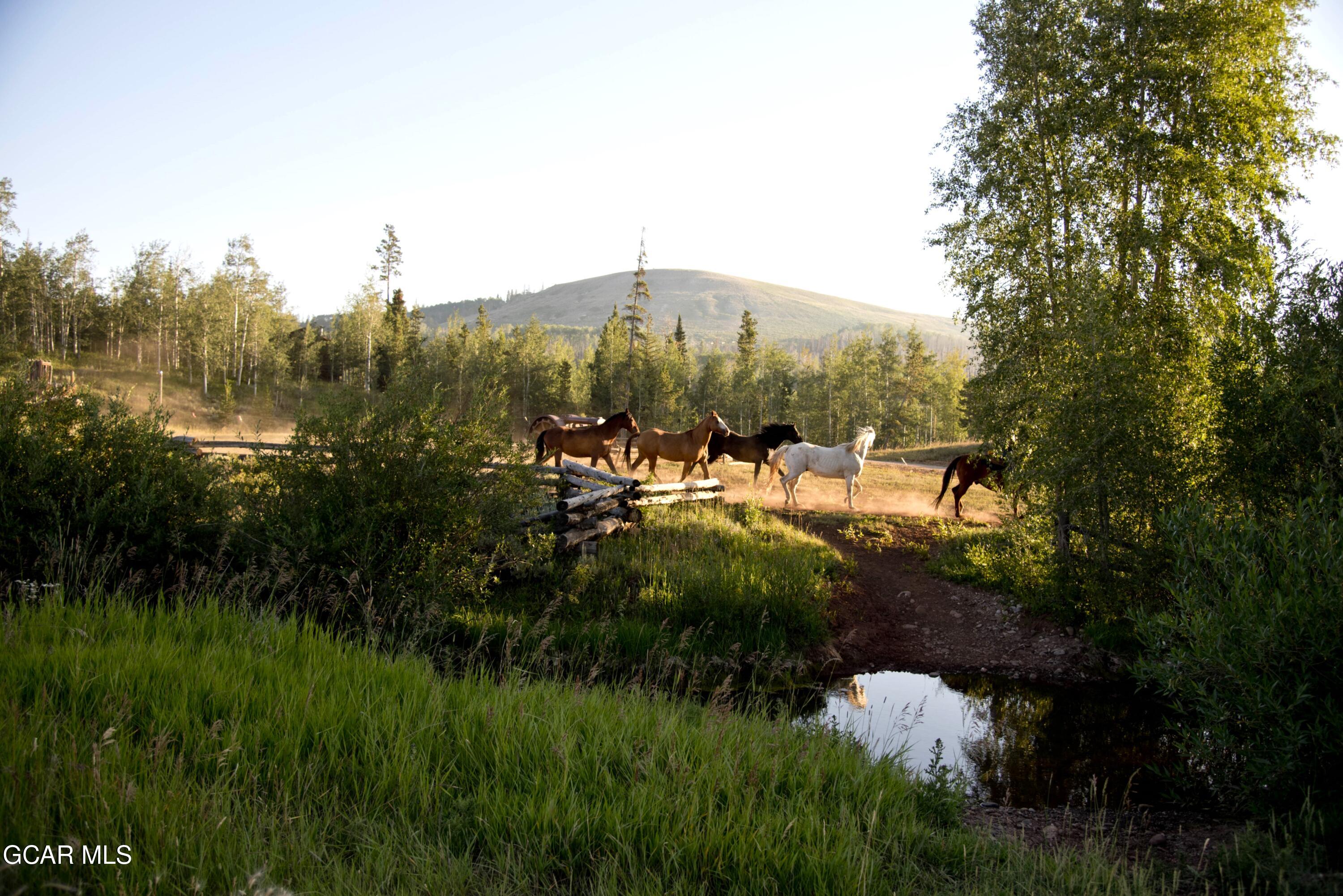 201 GCR 1911 Kremmling CO 80459