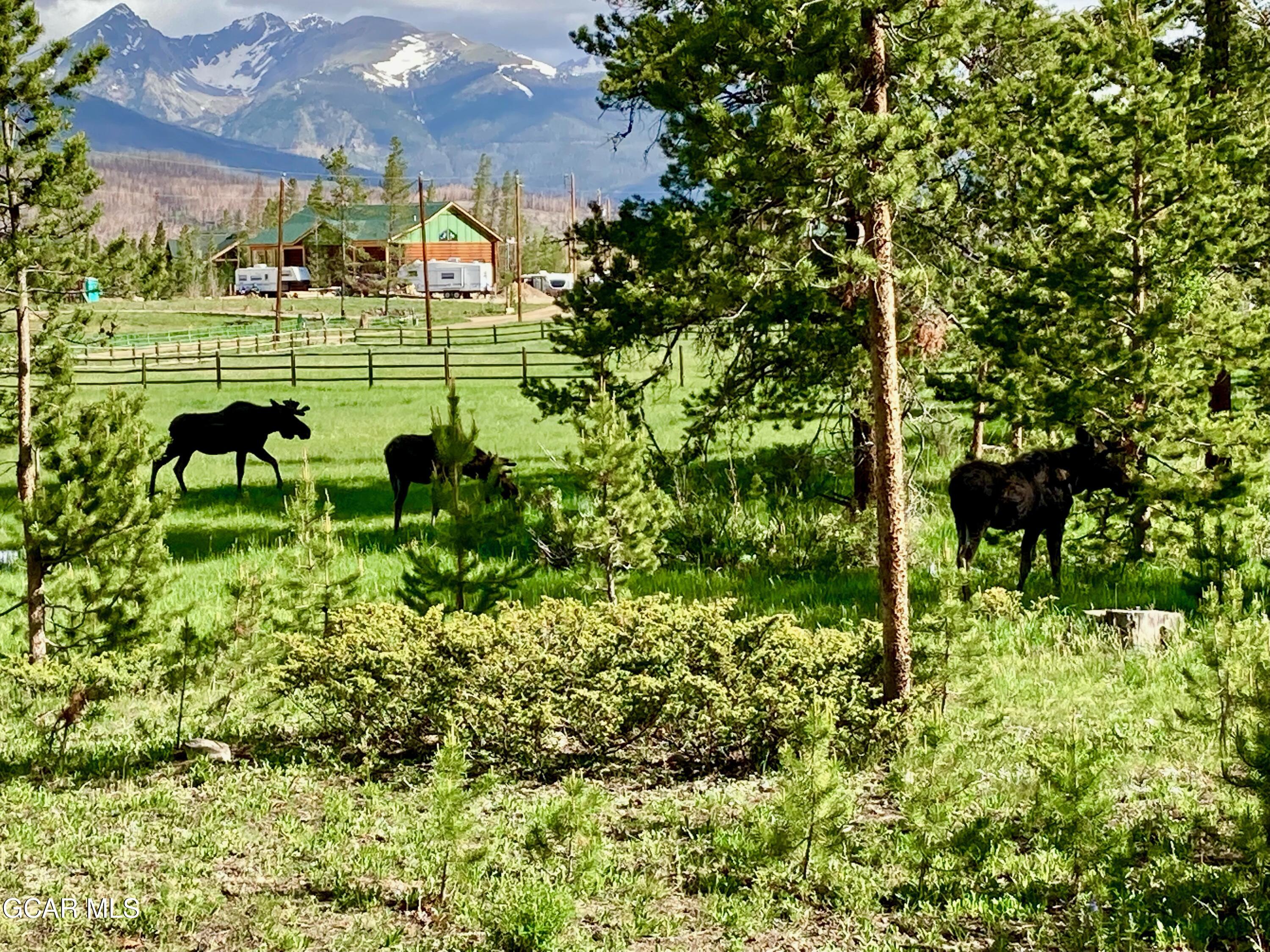 1620 County Road 491 Grand Lake CO 80447