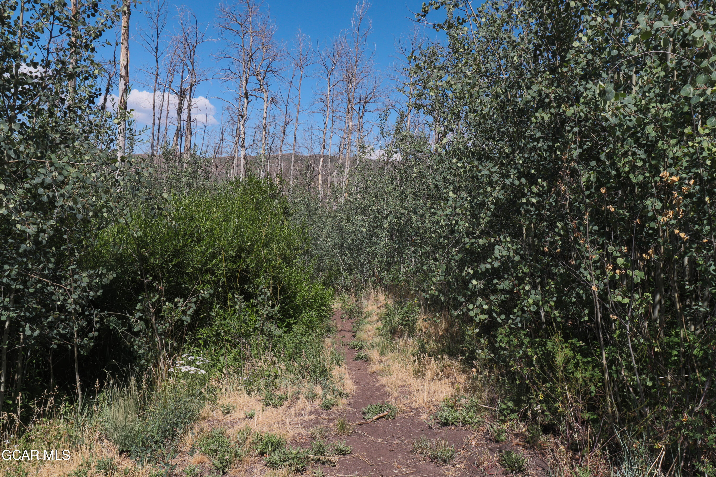 457 GCR 412 Grand Lake CO 80447