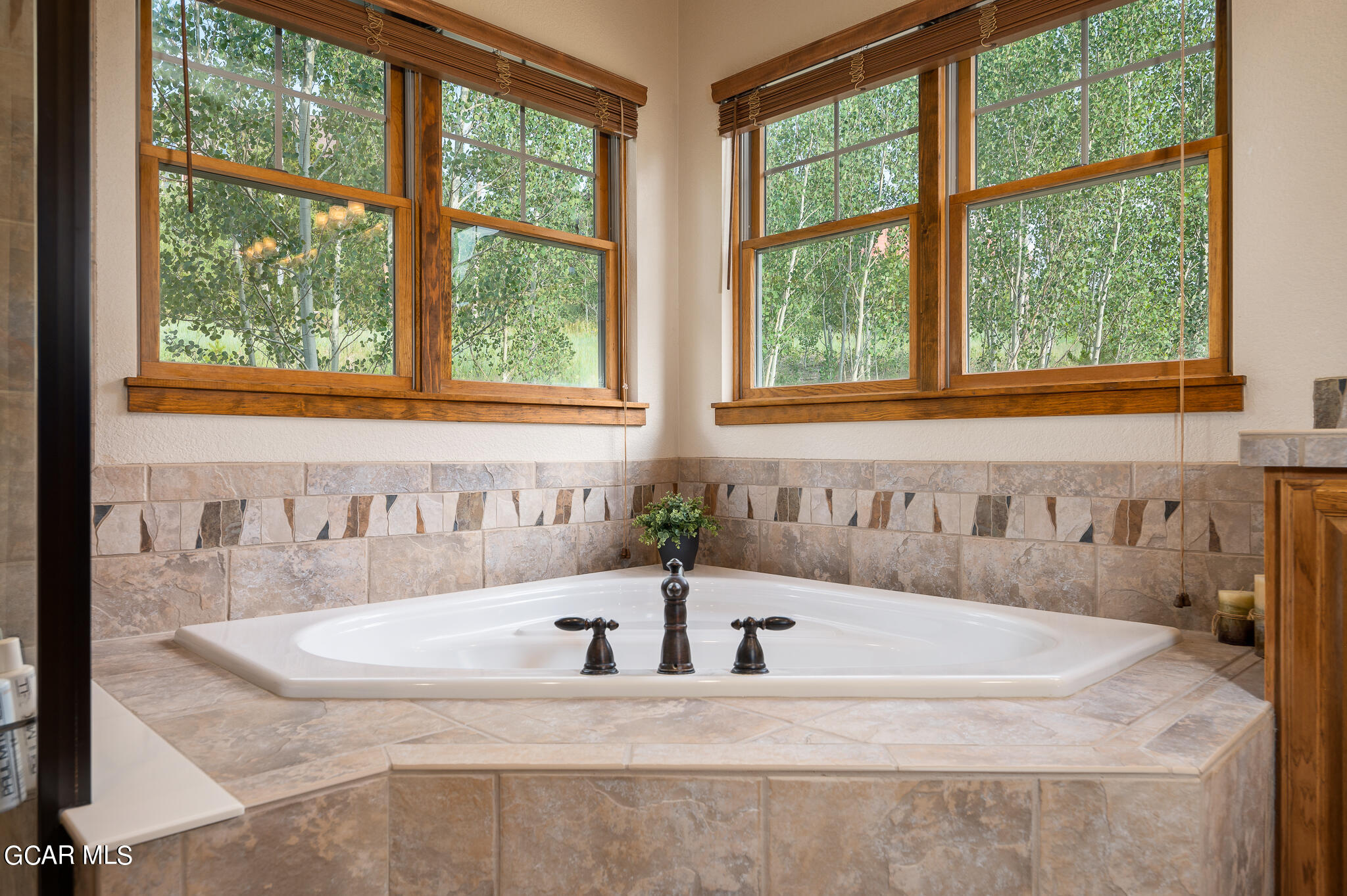 110 Campfire Lane Fraser CO 80442