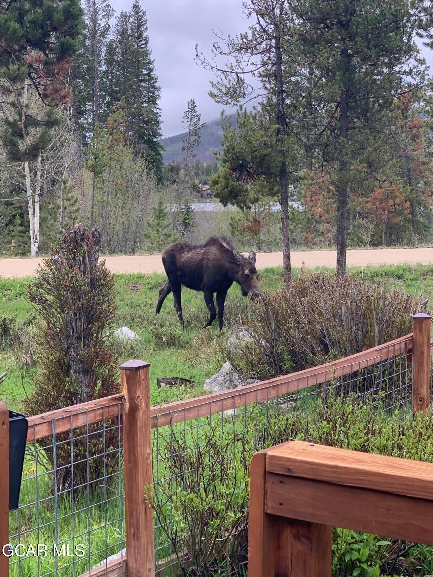 1384 GCR 494 Grand Lake CO 80447