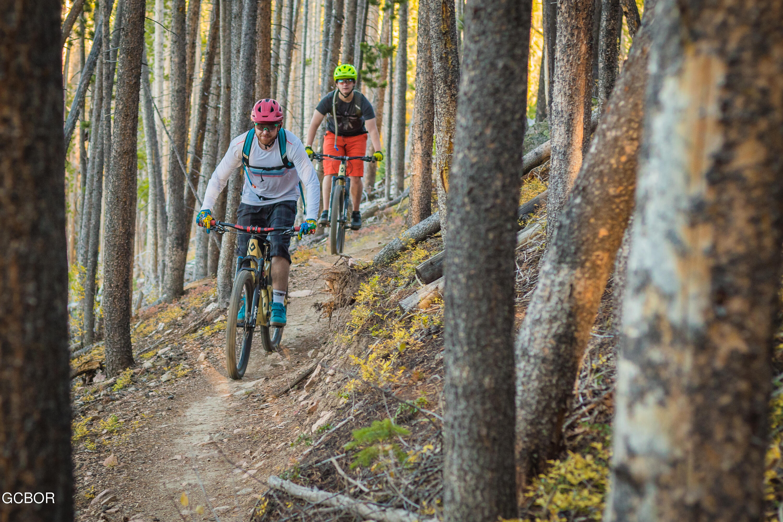 Winter Park CO 80482