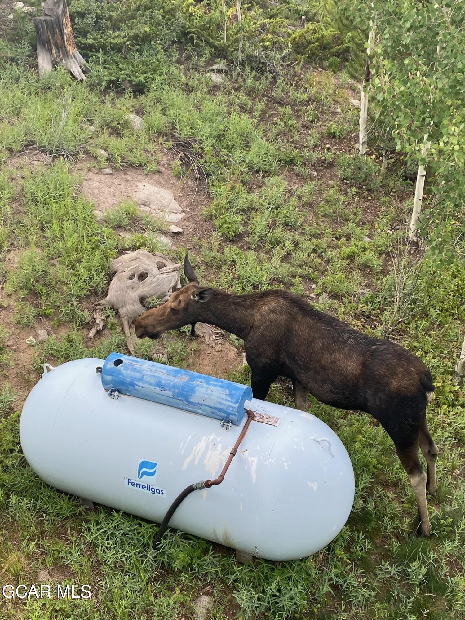 105 GCR 475 Grand Lake CO 80447
